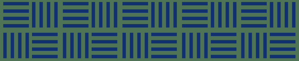 Roxbury Boston Capoeira Martial Arts, Checkered Pattern 3