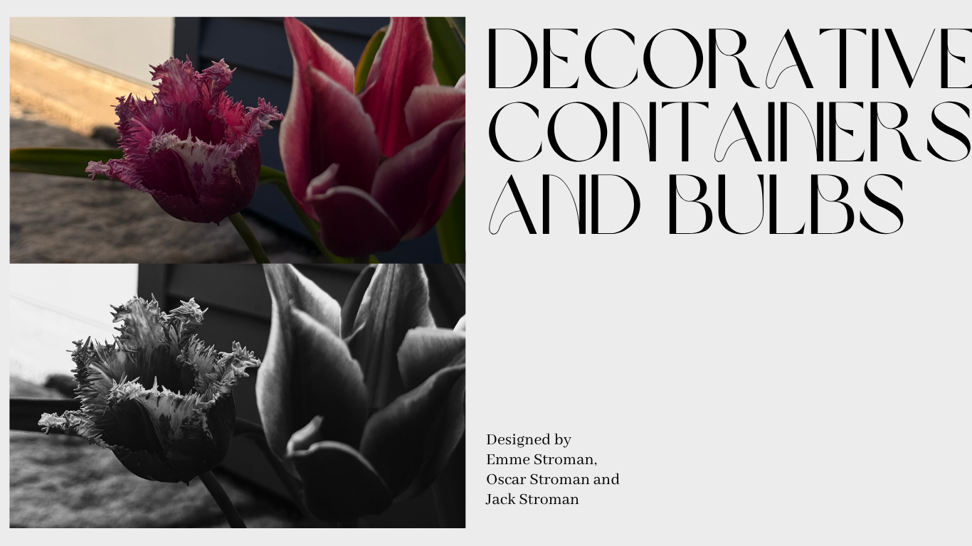 Photography Portfolio Website in Grey  Black  Light Experimental Style - Home.png