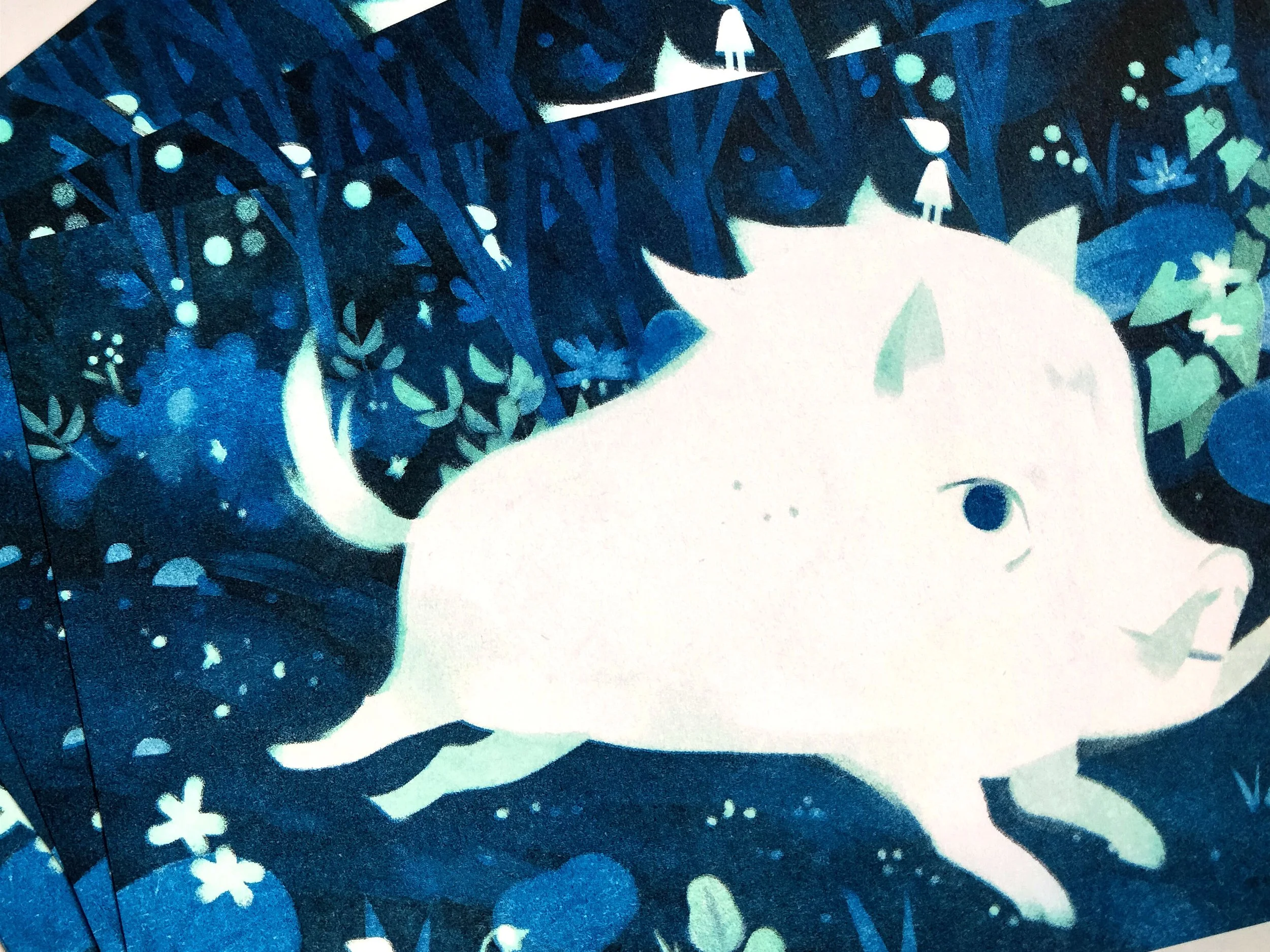 IMG20260204115059 copie.jpg