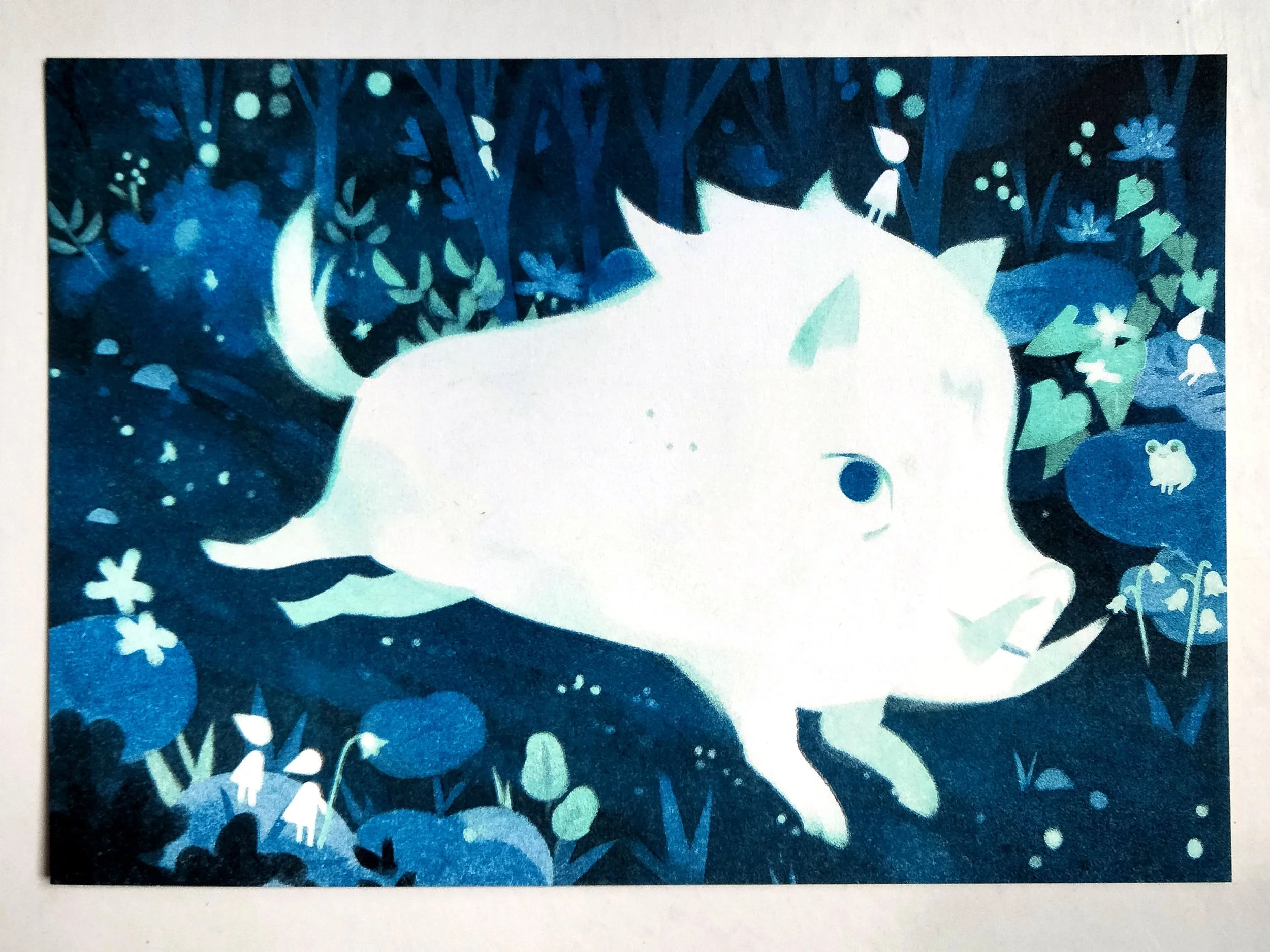 IMG20260204115040 copie.jpg