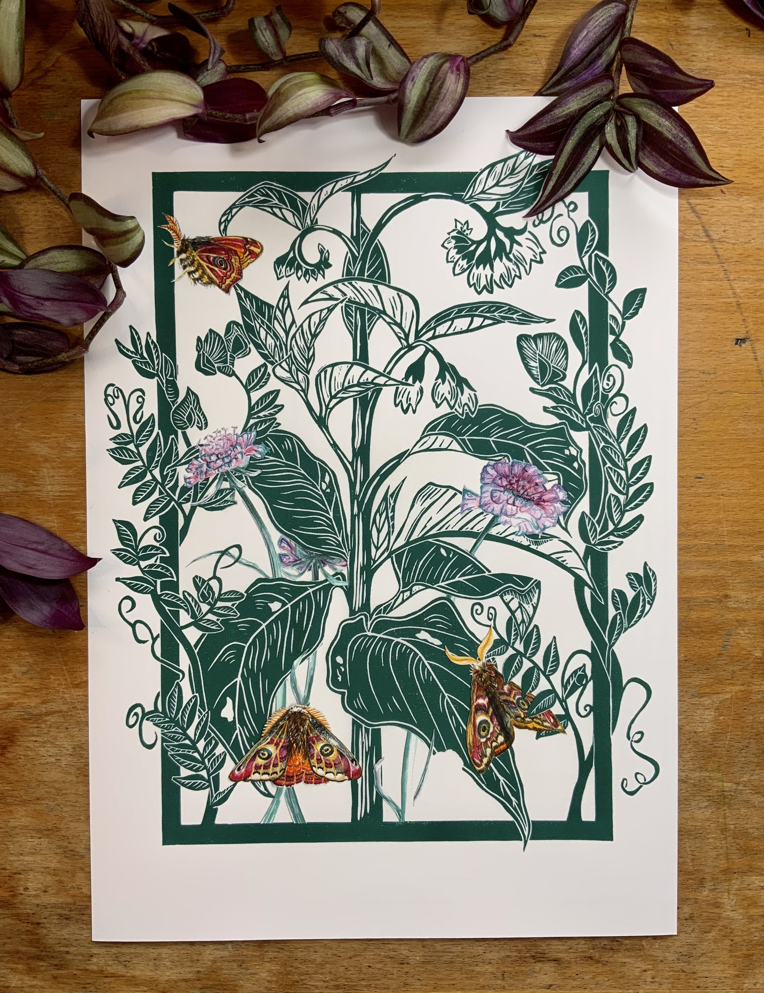 Comfrey Home || Giclée print