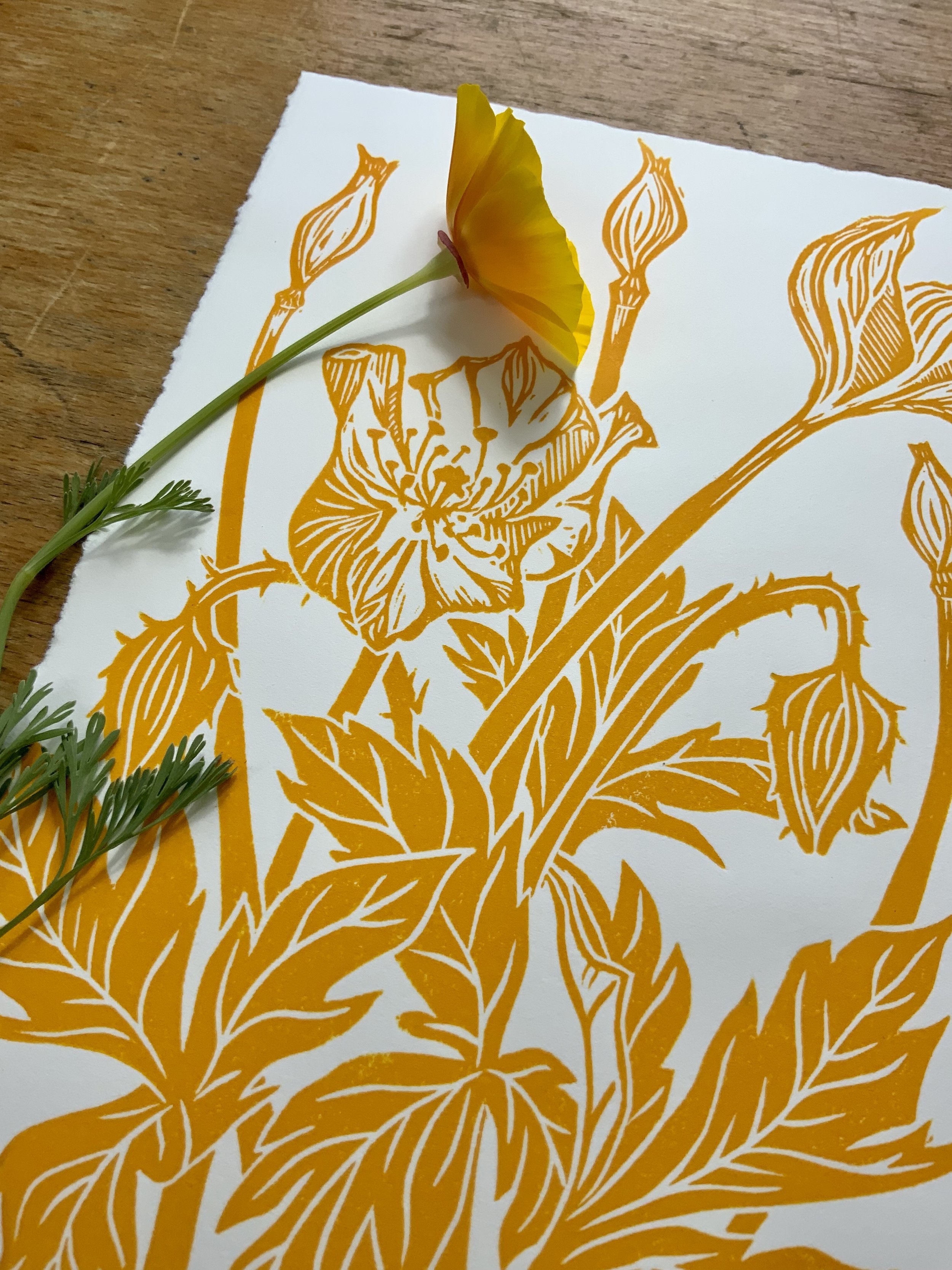 Poppies || Linocut