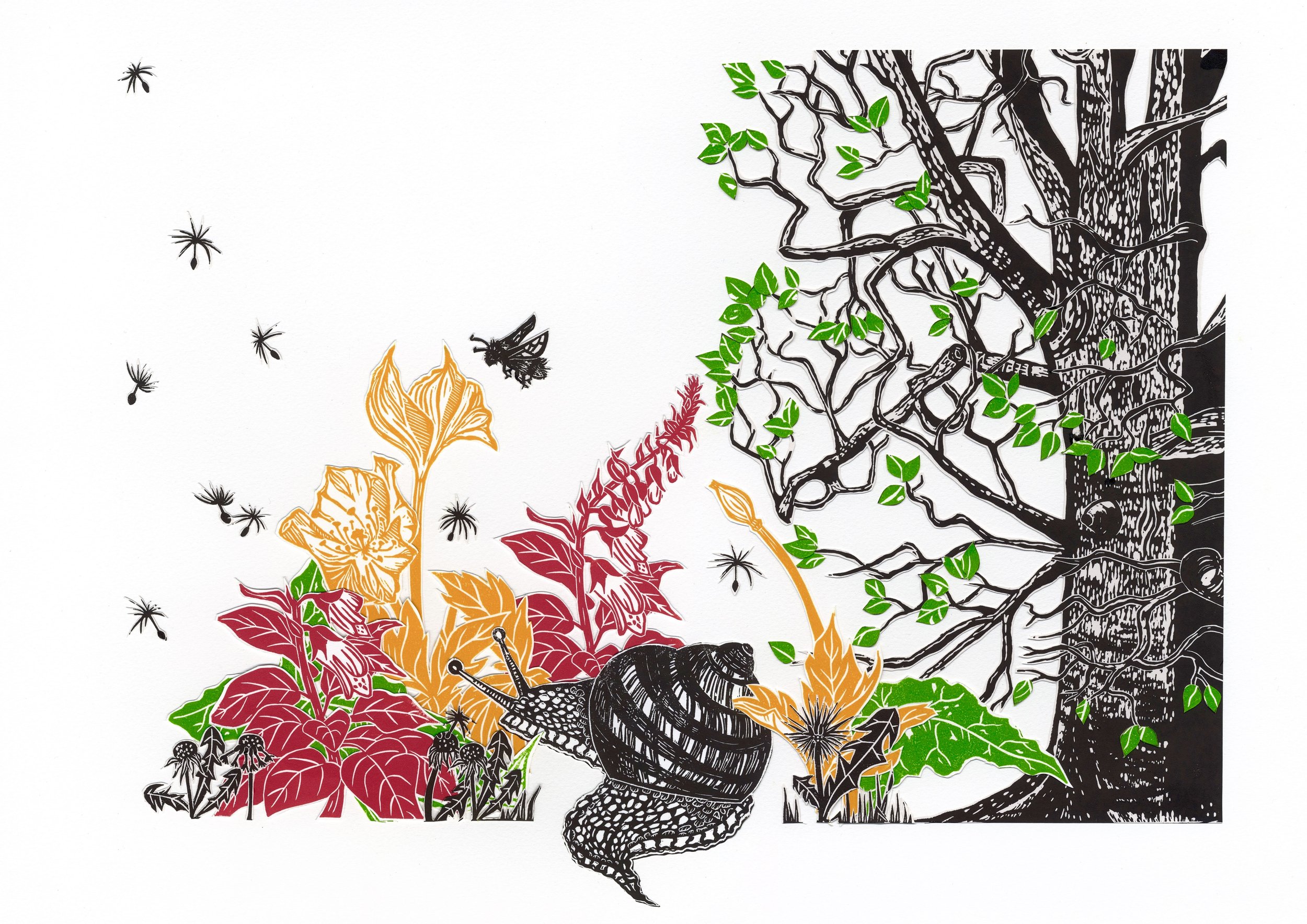Snail's Way || Giclée Print
