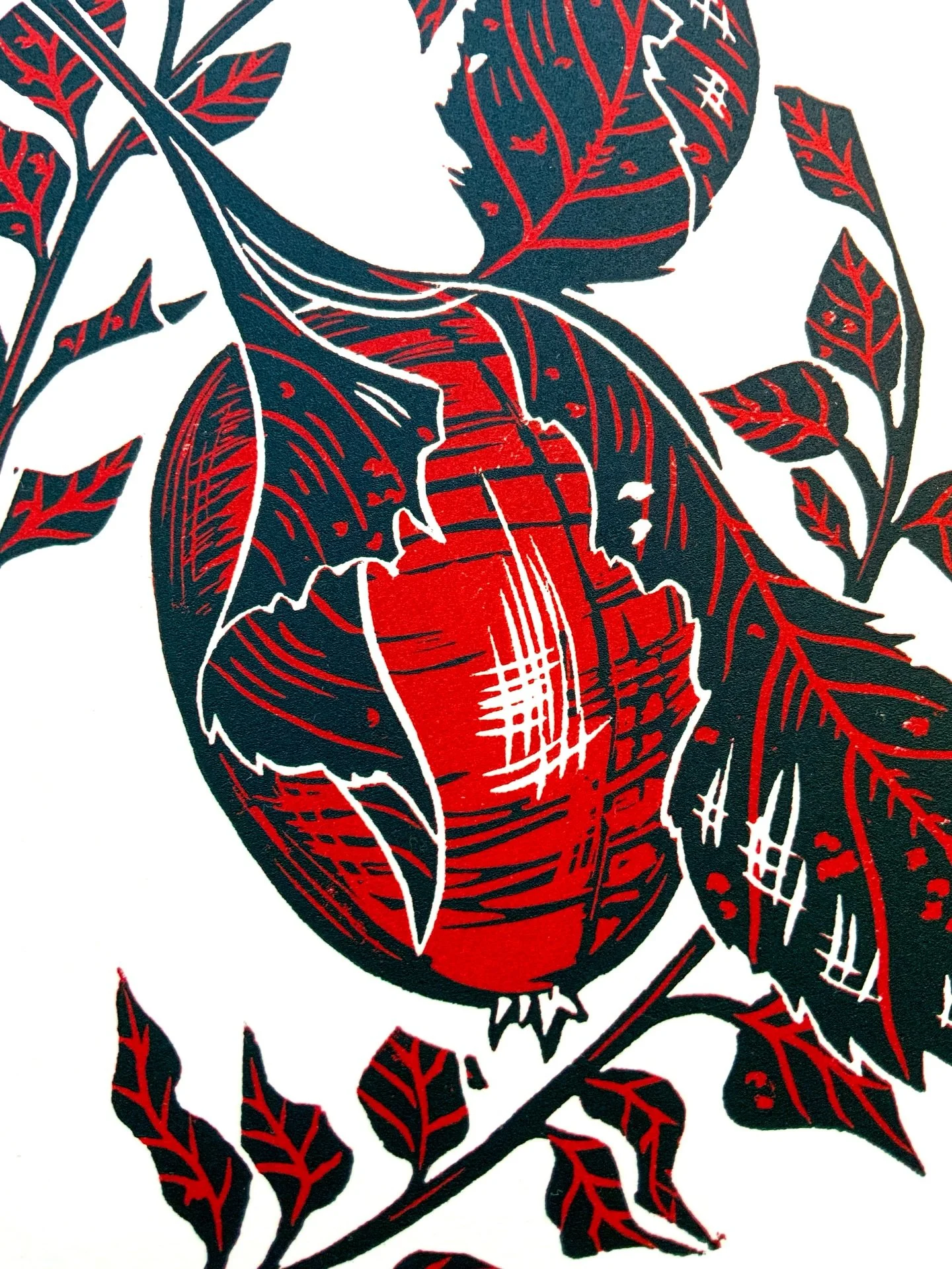 It&rsquo;s in the shop. You can buy your apple print now. I&rsquo;ve put this one on my wall - it&rsquo;s my favourite fruit. I&rsquo;ve finally got round to planting an apple tree in my garden so while I wait two years for it to produce an apple I c