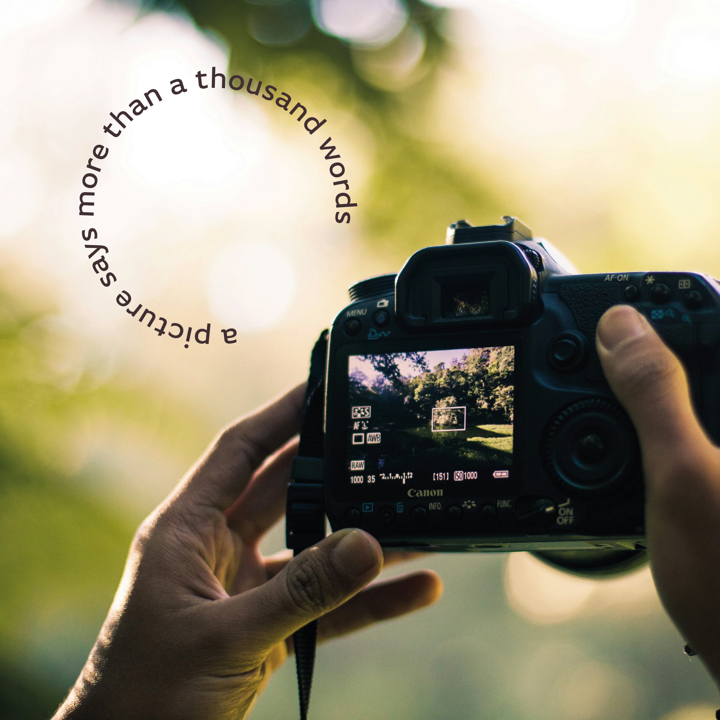 TheoMiller_SocialMedia-08.jpg