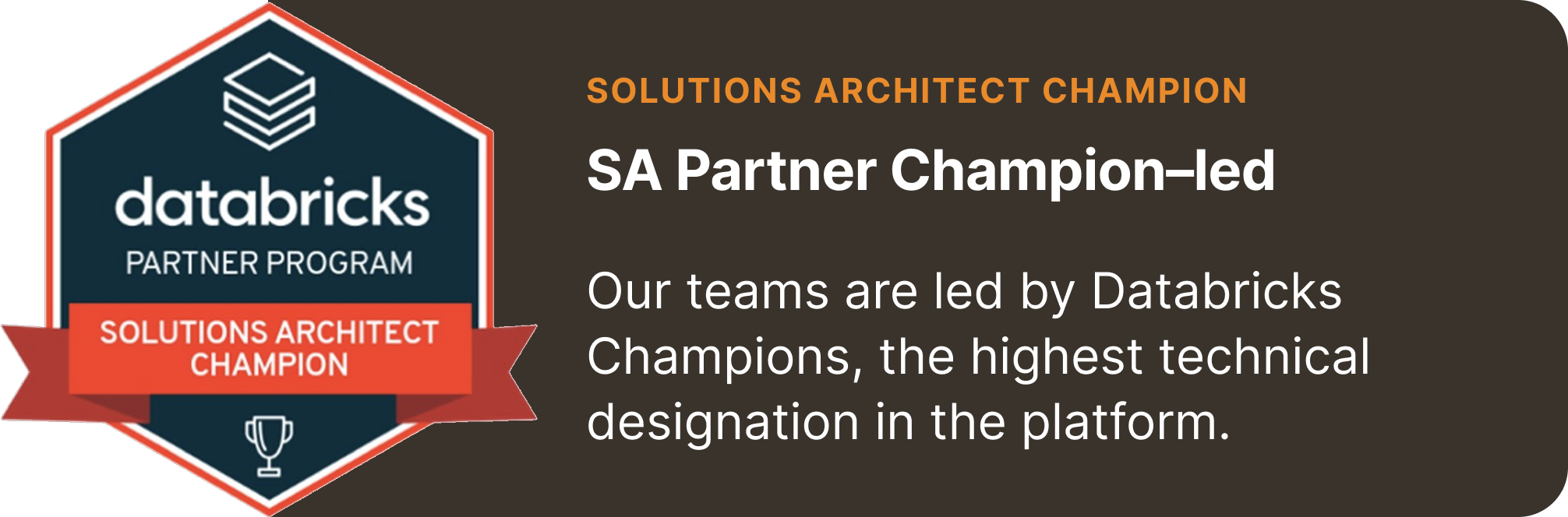 Databricks Solutions Architect Champion badge — the highest technical designation in the Databricks platform, leading every client engagement