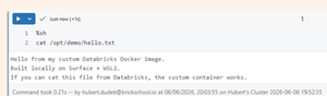 do-it-yourself, building your own databricks docker... Databricks Custom Container Runtimes: Beyond pip install — SunnyData