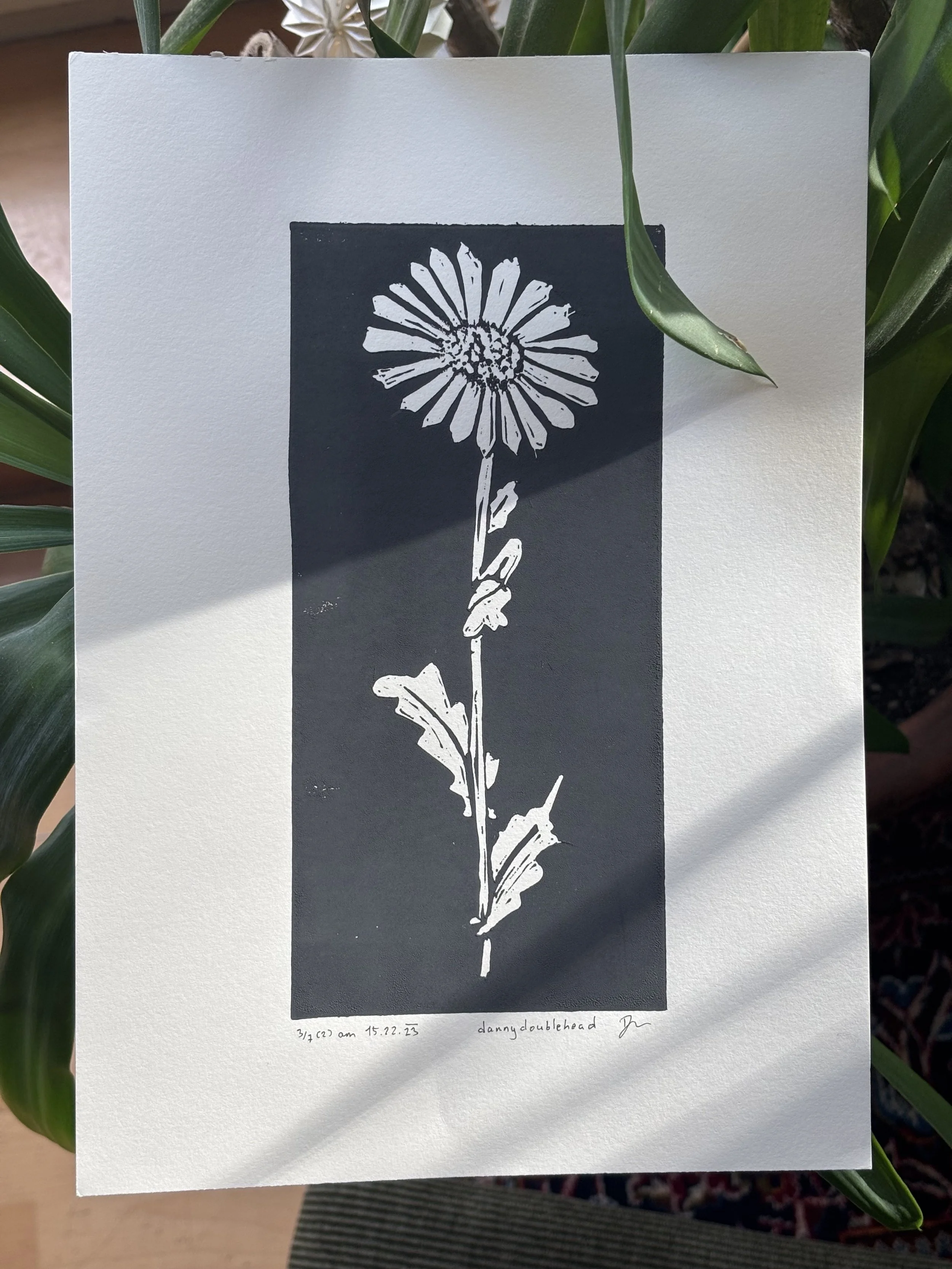 Linoldruck A4: Margerite