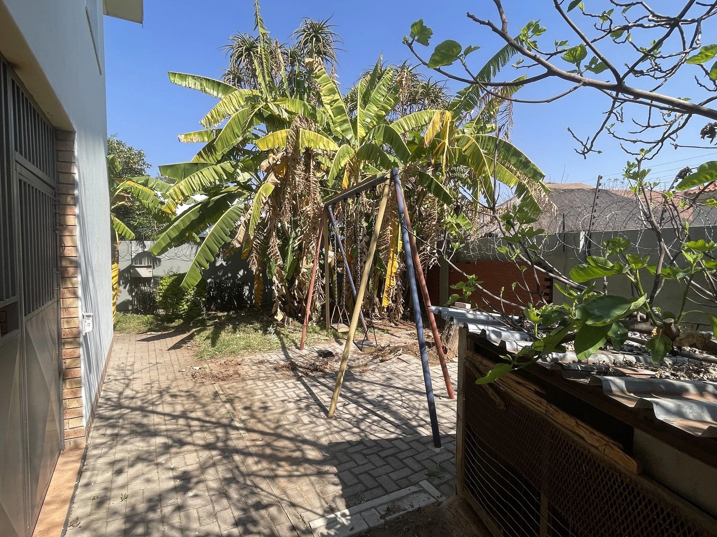 Private garden with established trees, banana plants and paved area at the 4-bedroom house for rent, gated estate Phakalane. Nestgeeks.