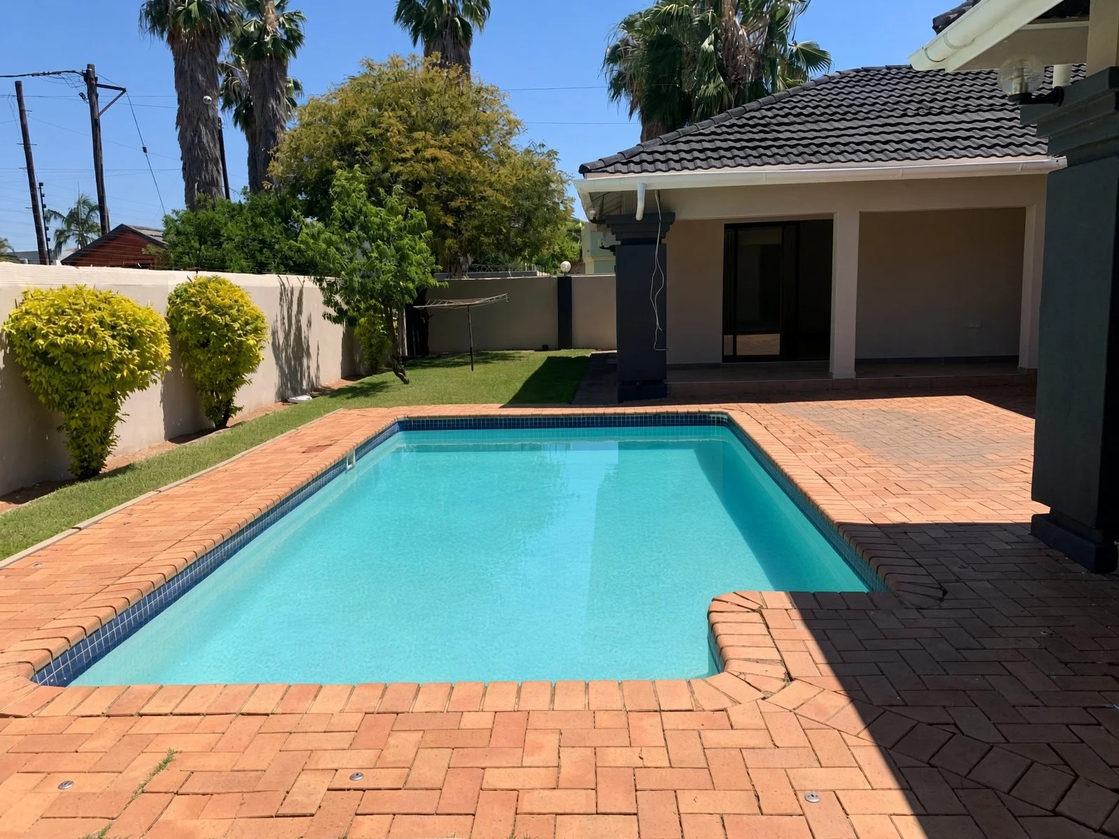 Private swimming pool with brick paving, lawn and palms at a 4-bedroom house for rent in Phakalane