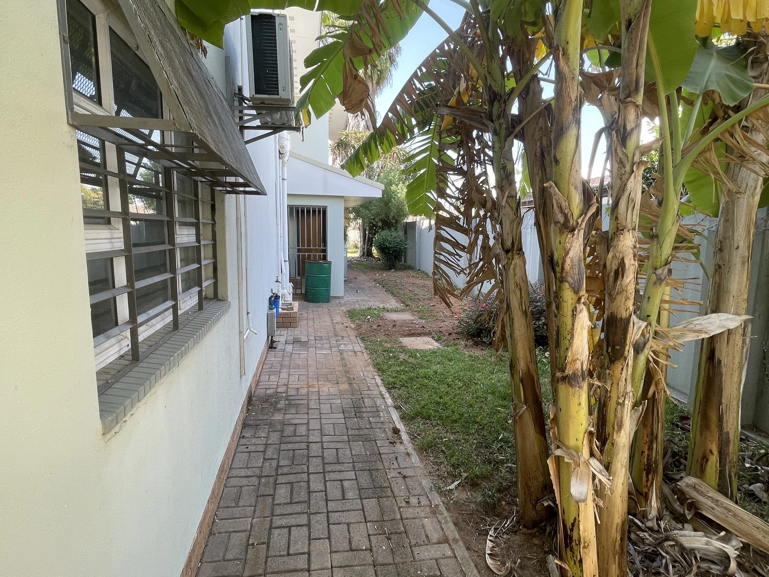 Side garden path with banana trees and walled yard at the 4-bedroom rental home in a secure gated estate, Phakalane. Nestgeeks listing.