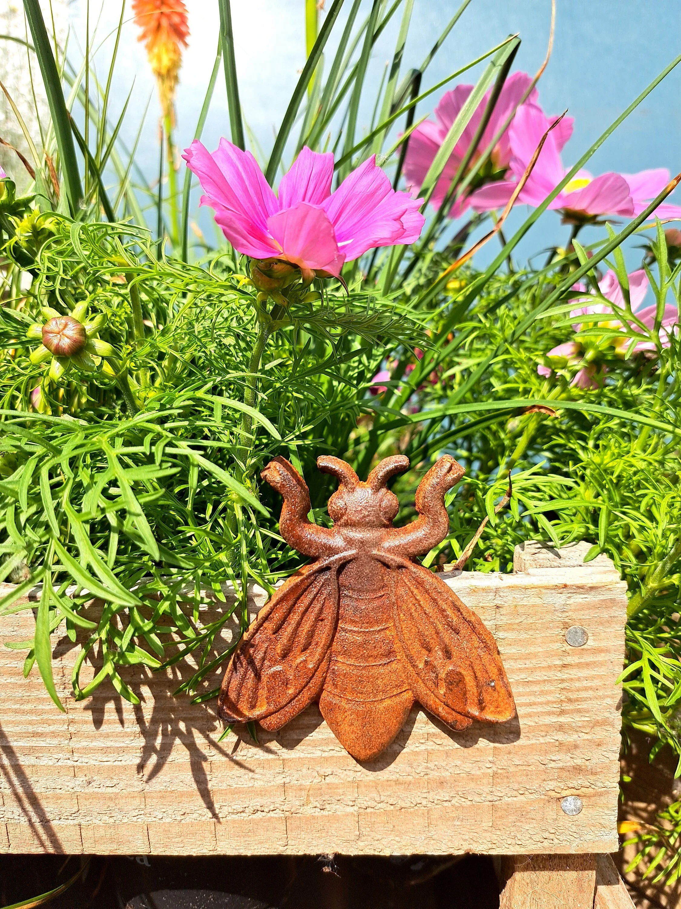 https://i.etsystatic.com/23782443/r/il/5501da/4996739965/il_fullxfull.4996739965_le7q.jpg