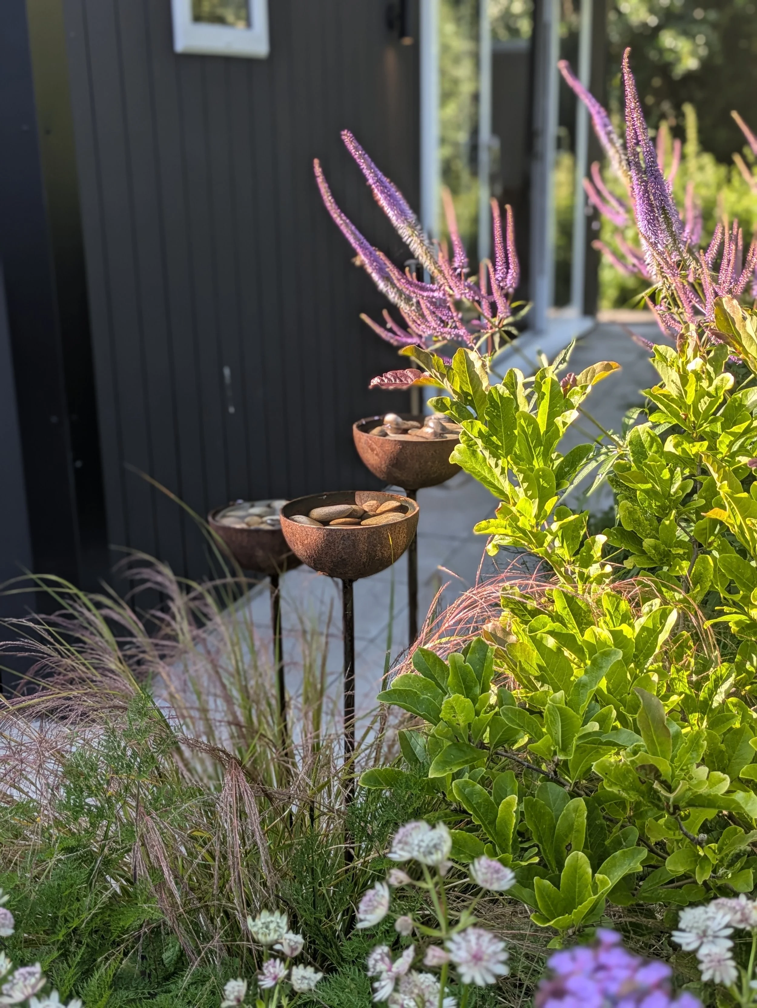 haywardsgarden water catcher