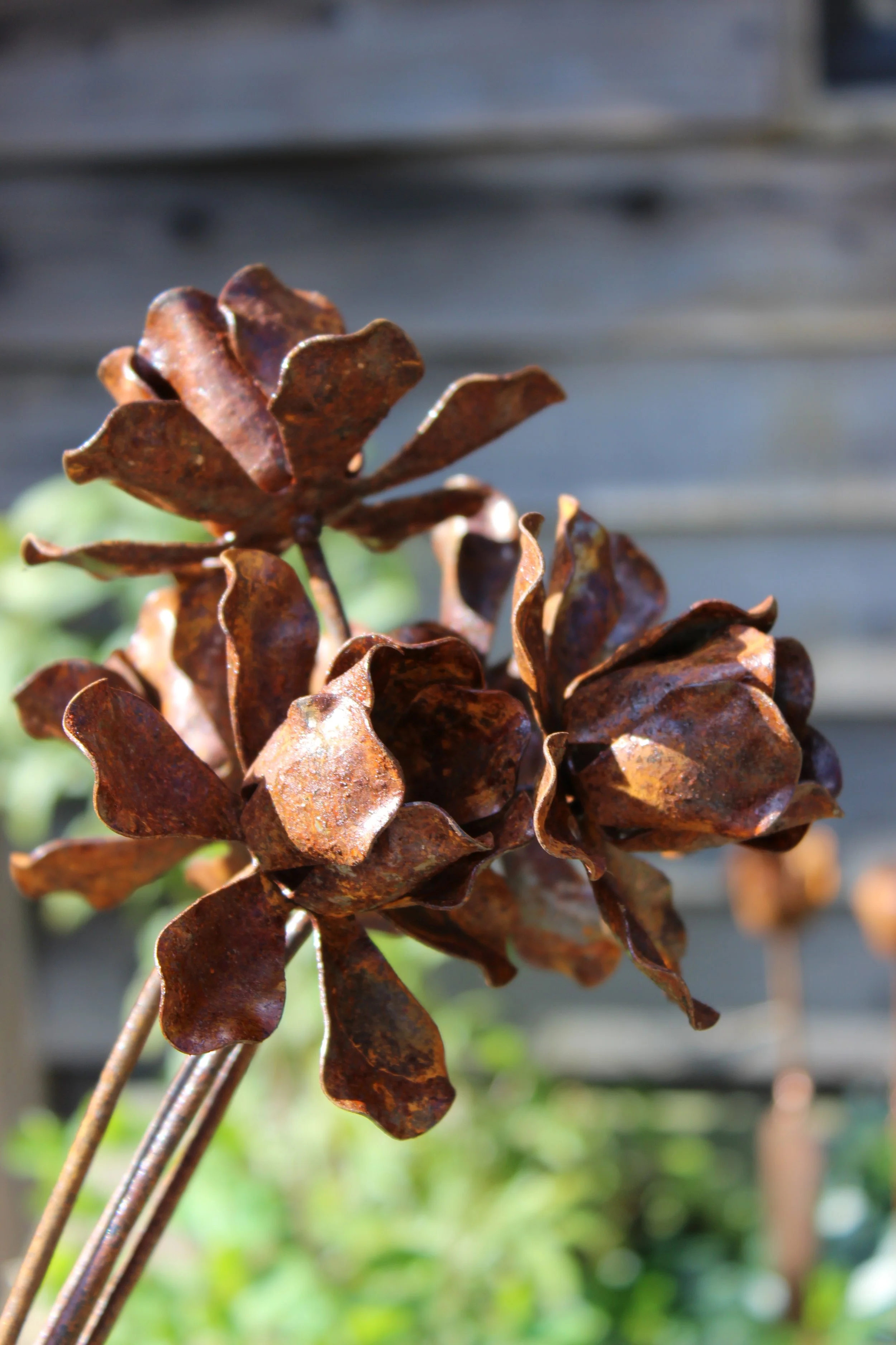 dafodil buld marker garden gift.jpg
