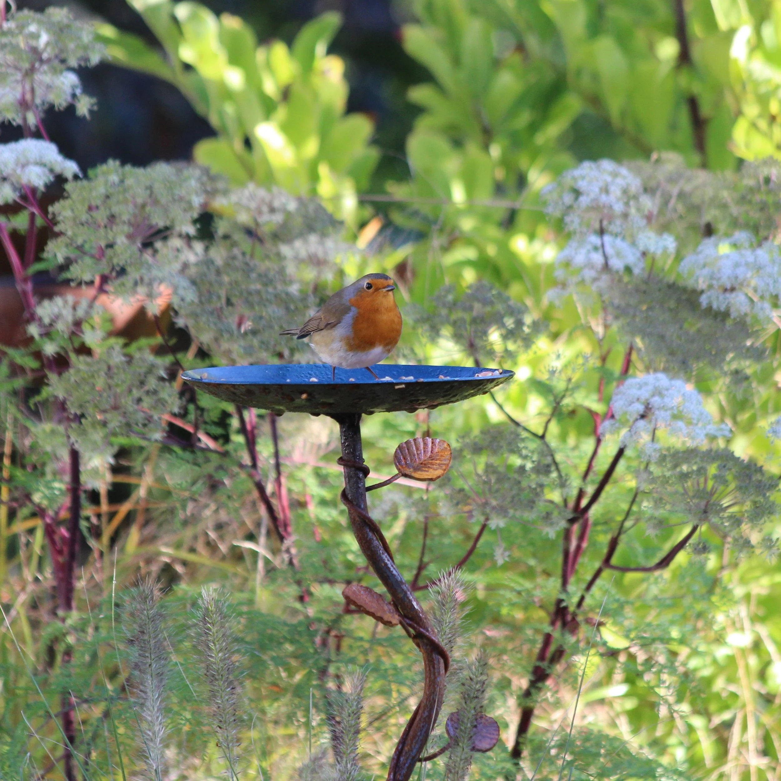 haywardsgarden decrotive metal bird bath and bird table.JPG