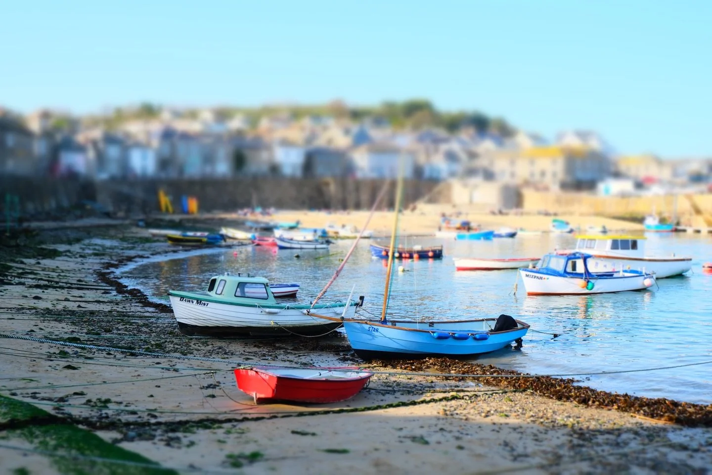 Postcards from April in Cornwall 🌸🌼🌊🥰

#cornwall #visitcornwall #lovecornwall #visitengland