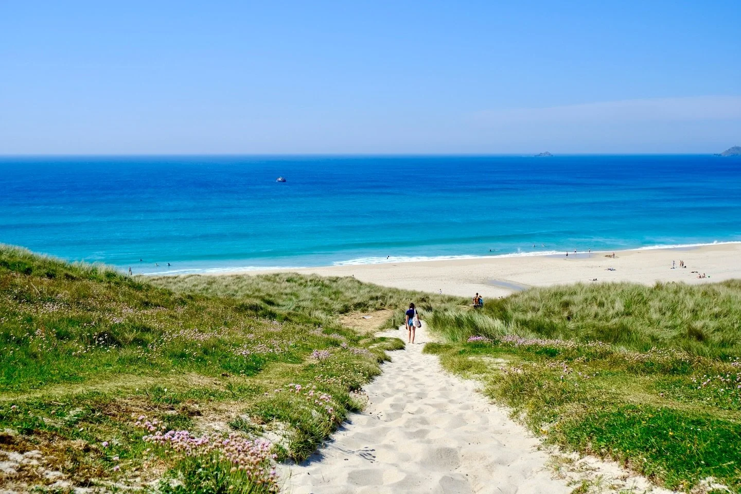 Postcards from Cornwall: May 2026 🌸🌊☀️