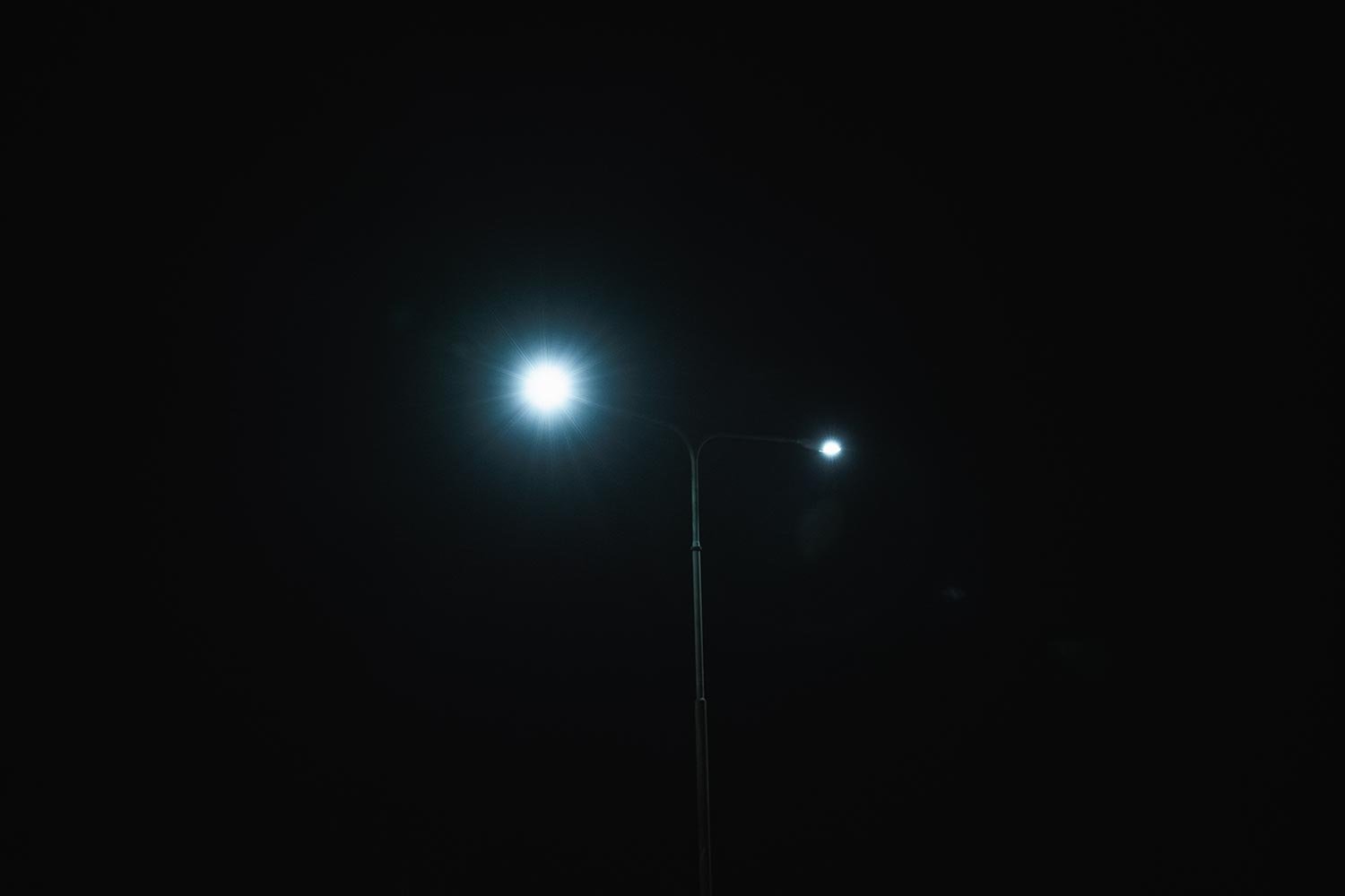 DSC01435.jpg