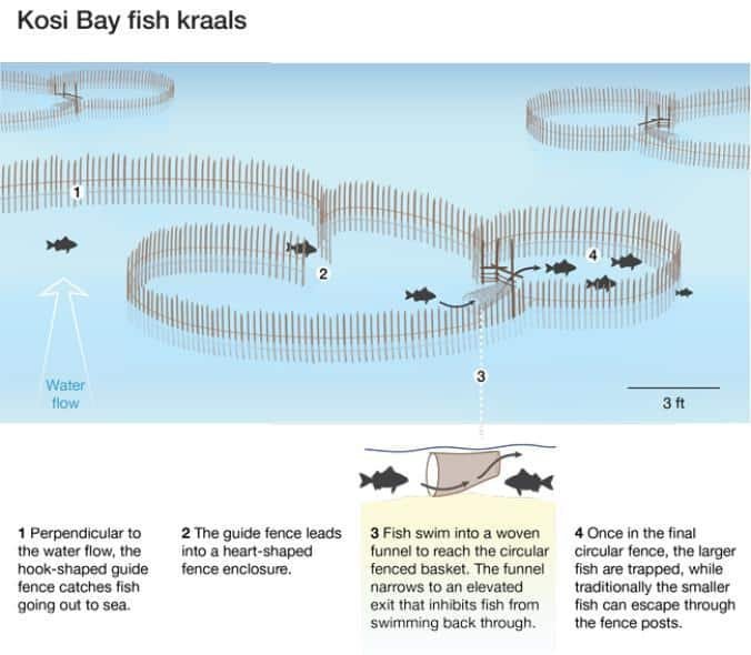 Thonga Fish Traps in Kosi Bay — Big Skies