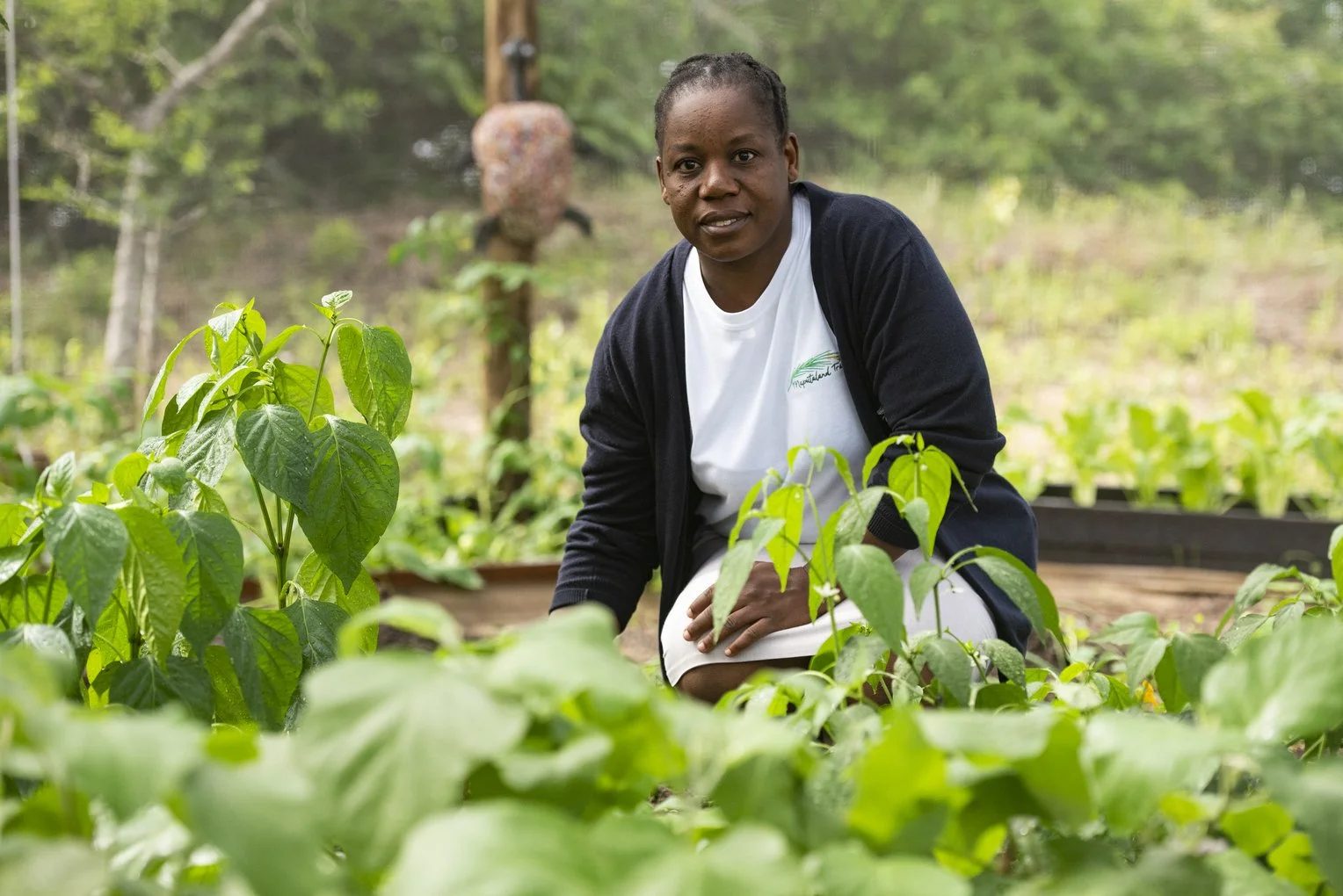 Person tending to plants in a garden with leafy green vegetables.