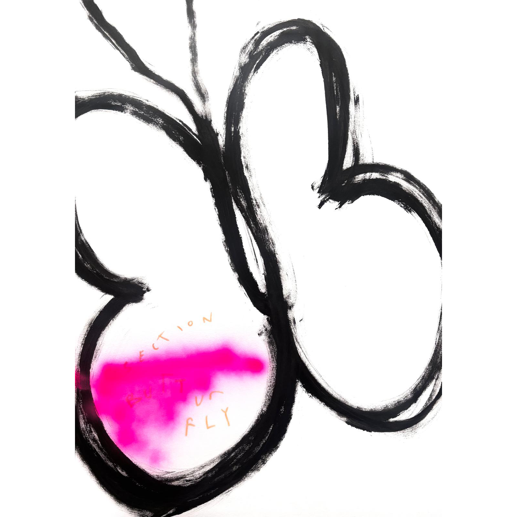 VALERIE GYZEL ORIGINAL ARTWORK SECTION BUTTURFLY.png