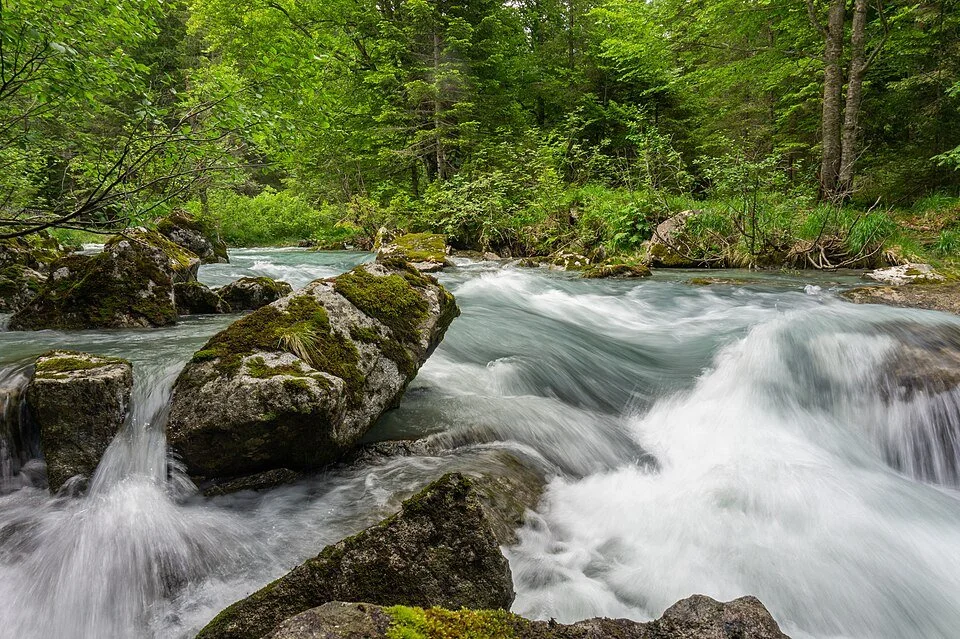 松 — The Art of Release