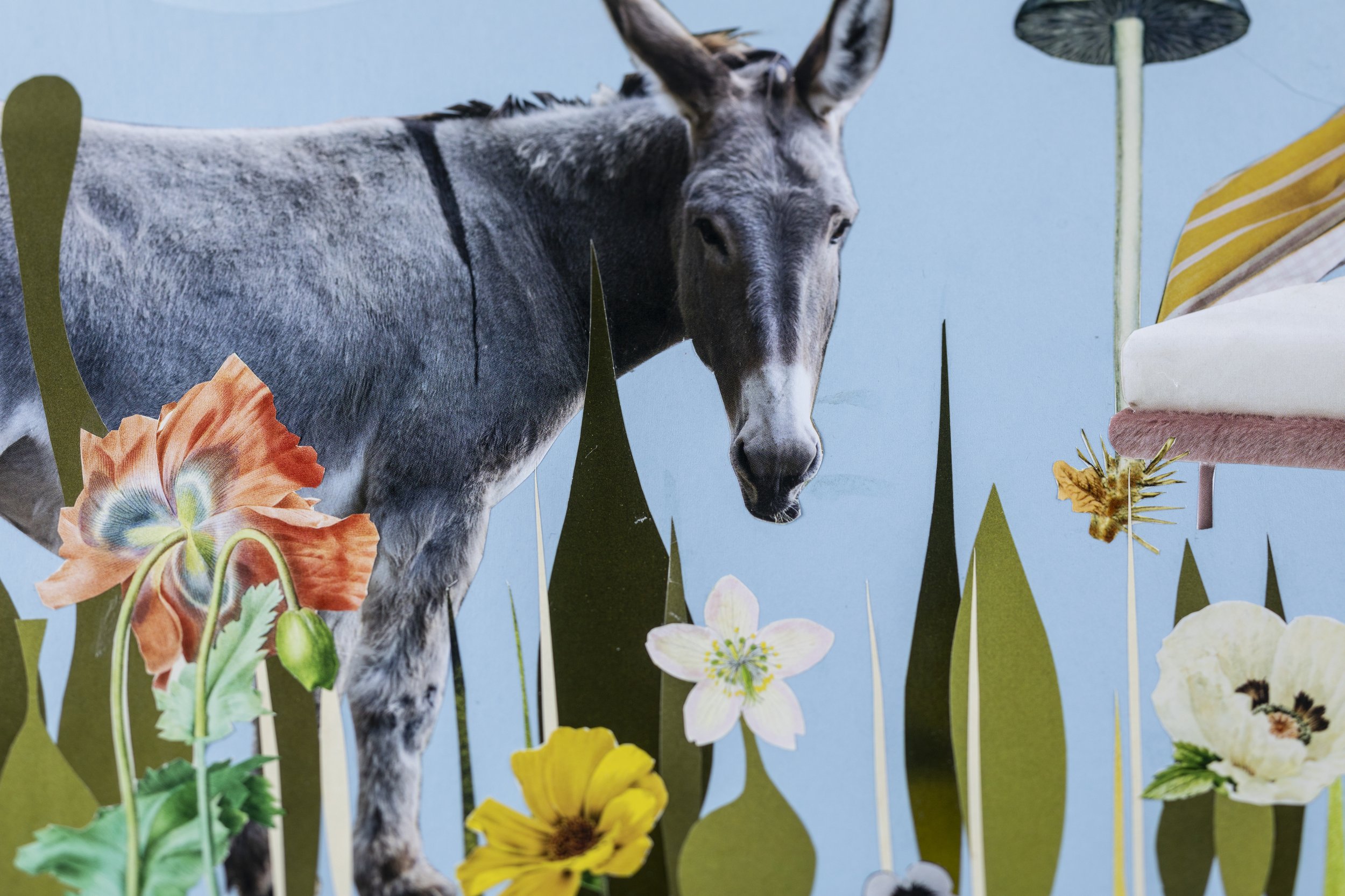 Oh Jenny! - Fine Art Prints - Jen Sutherland Studio
