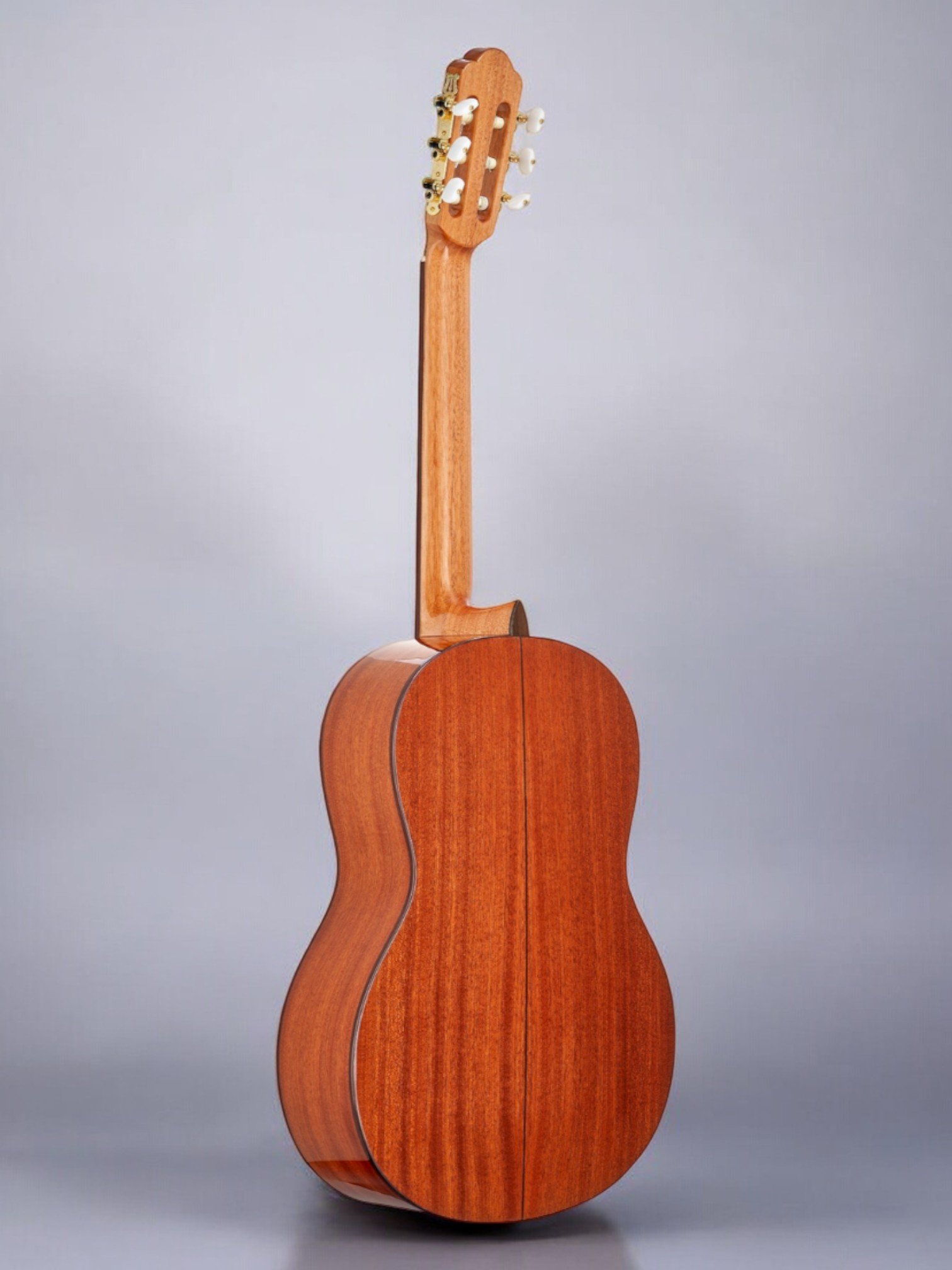 Guitar Back-Photoroom (2).jpg