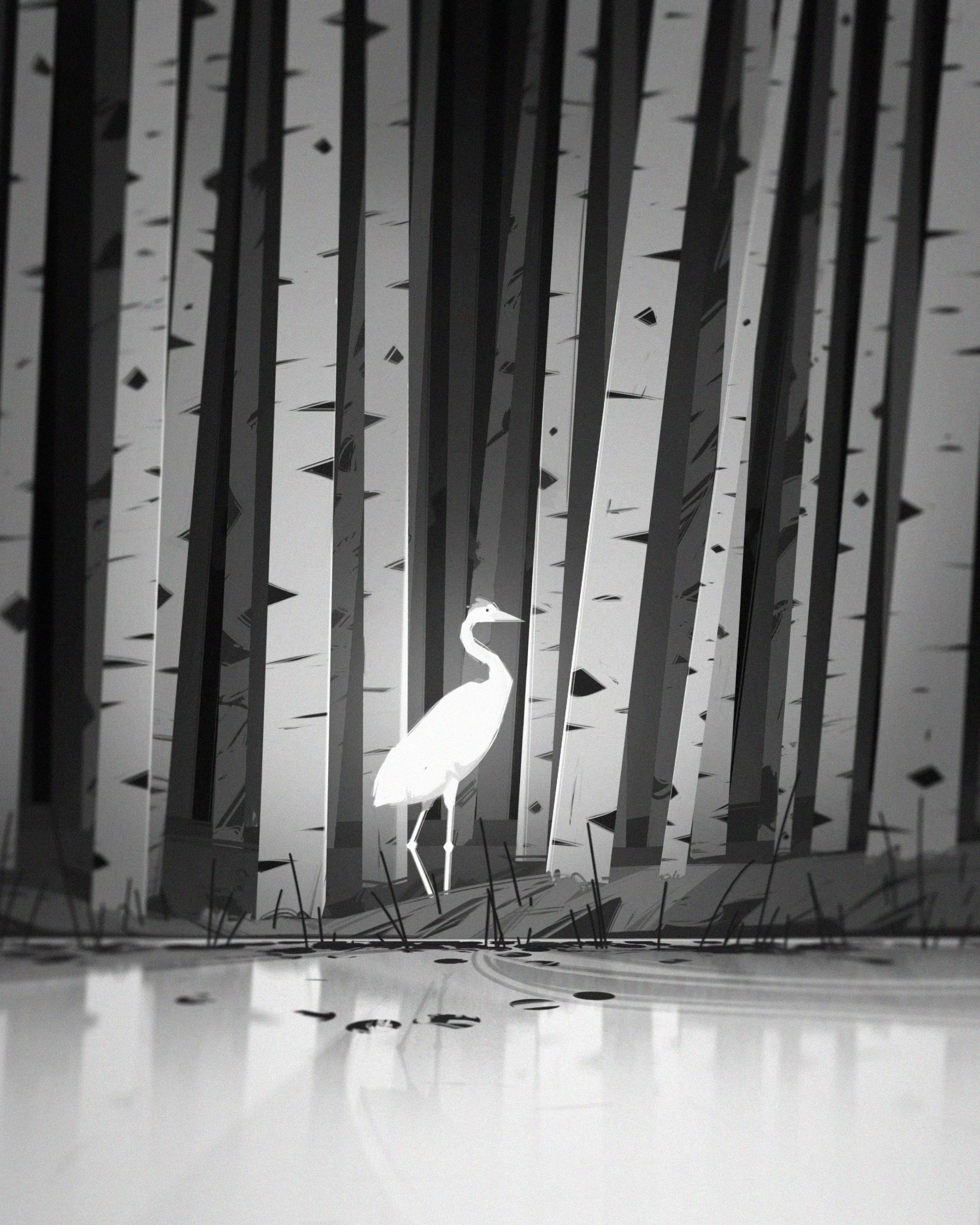 25.10.28.swamp.jpg