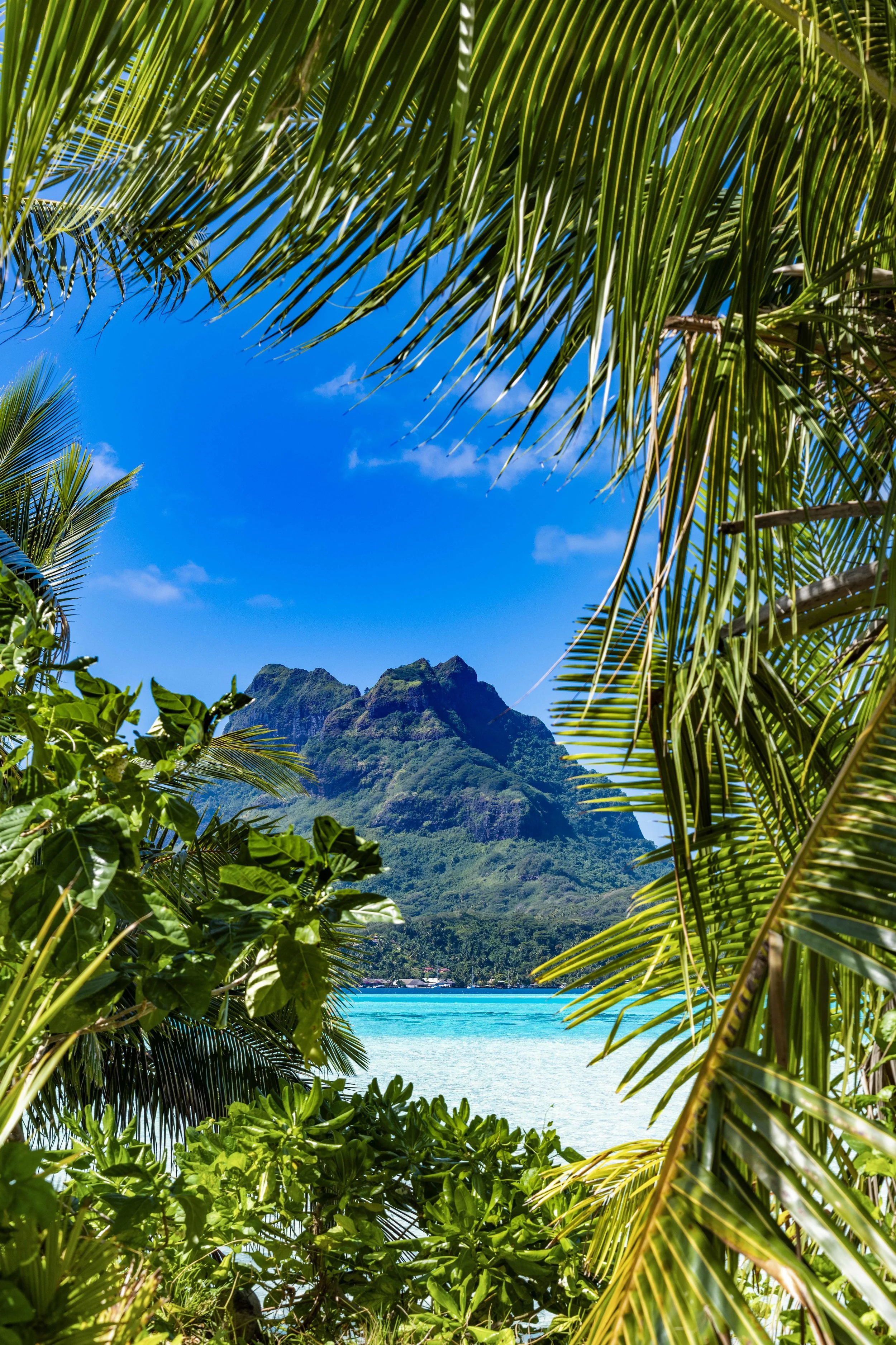48_Polynesie_Francaise_BoraBora©StudioPONANT-Guillaume_Robin e.jpg