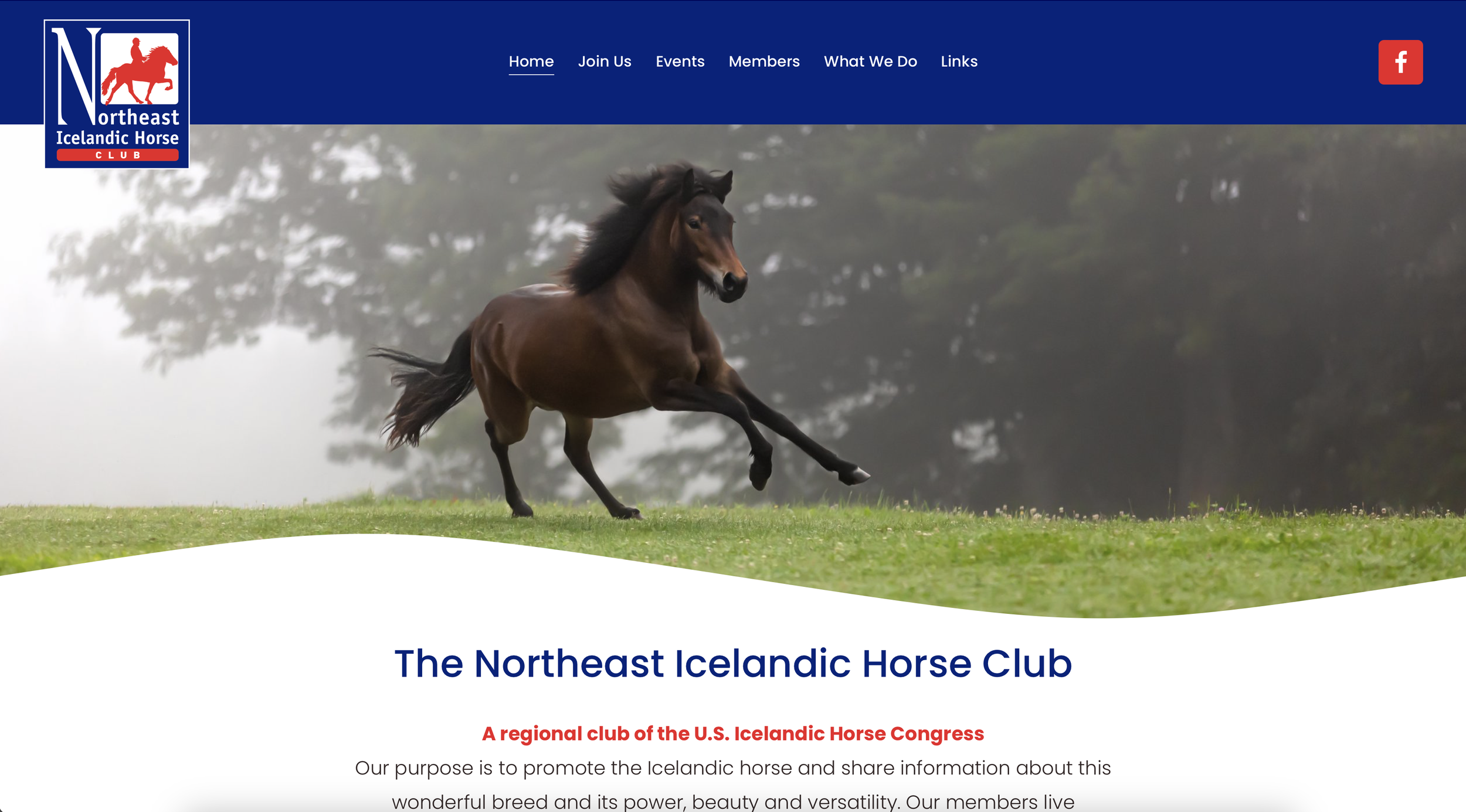 Screenshot 2024-05-15 at 9.17.00 AM.png