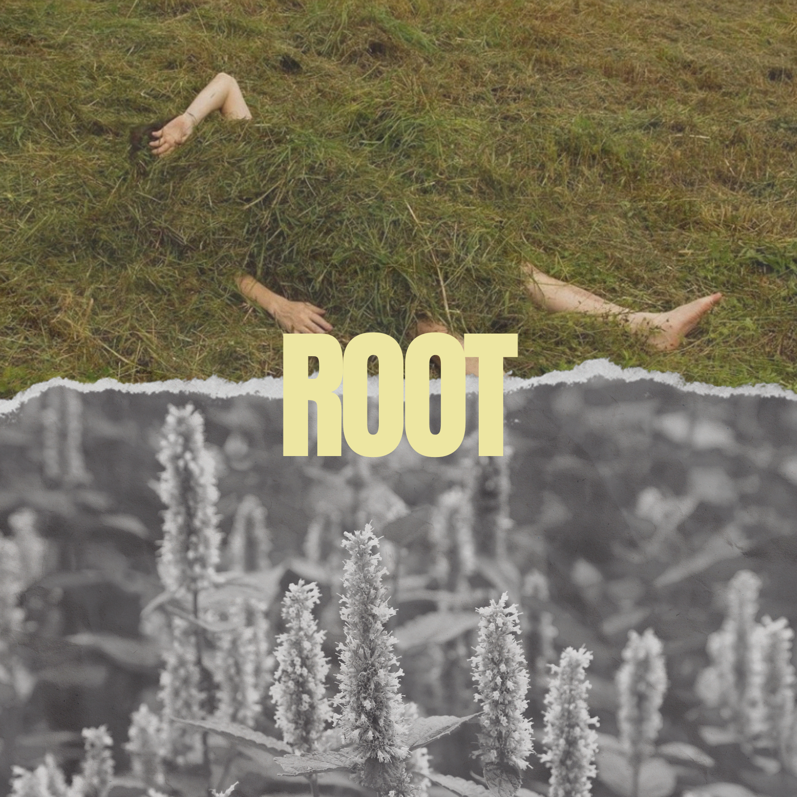 Root - Soul Elixir