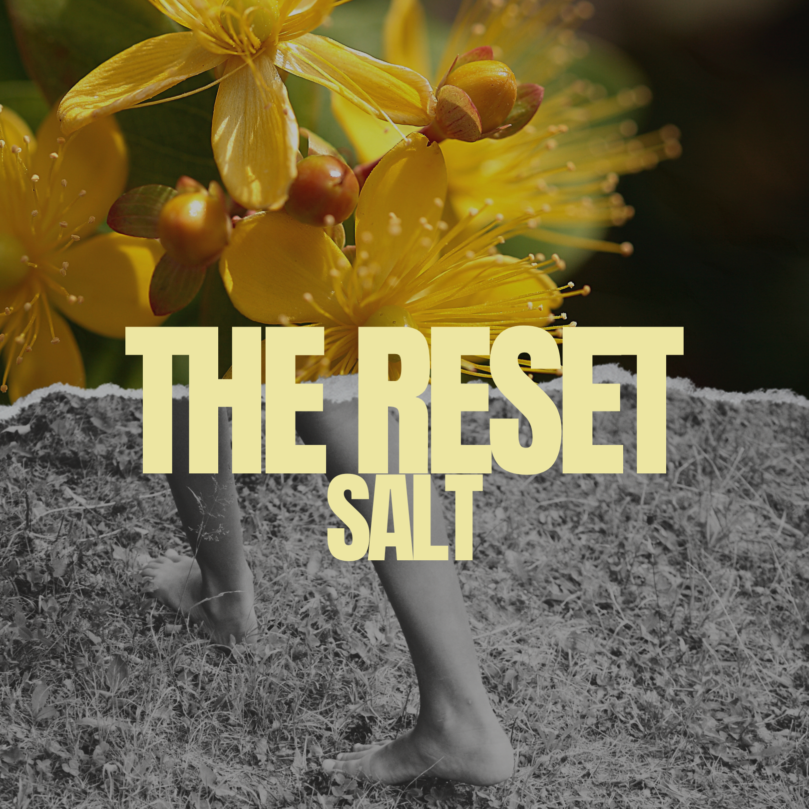 The Reset - Salt