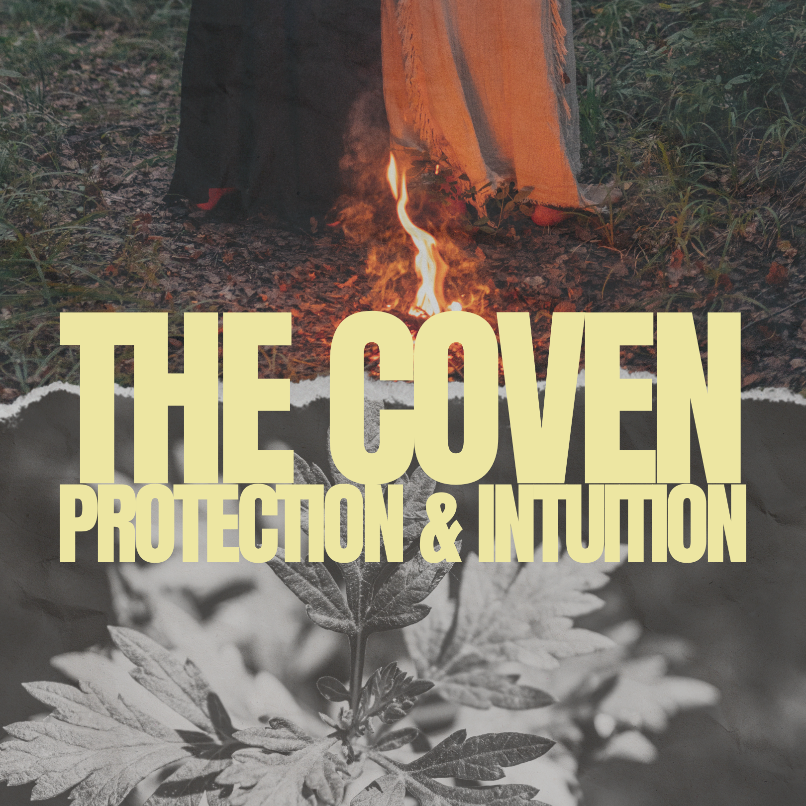 The Coven - Botanical Perfume