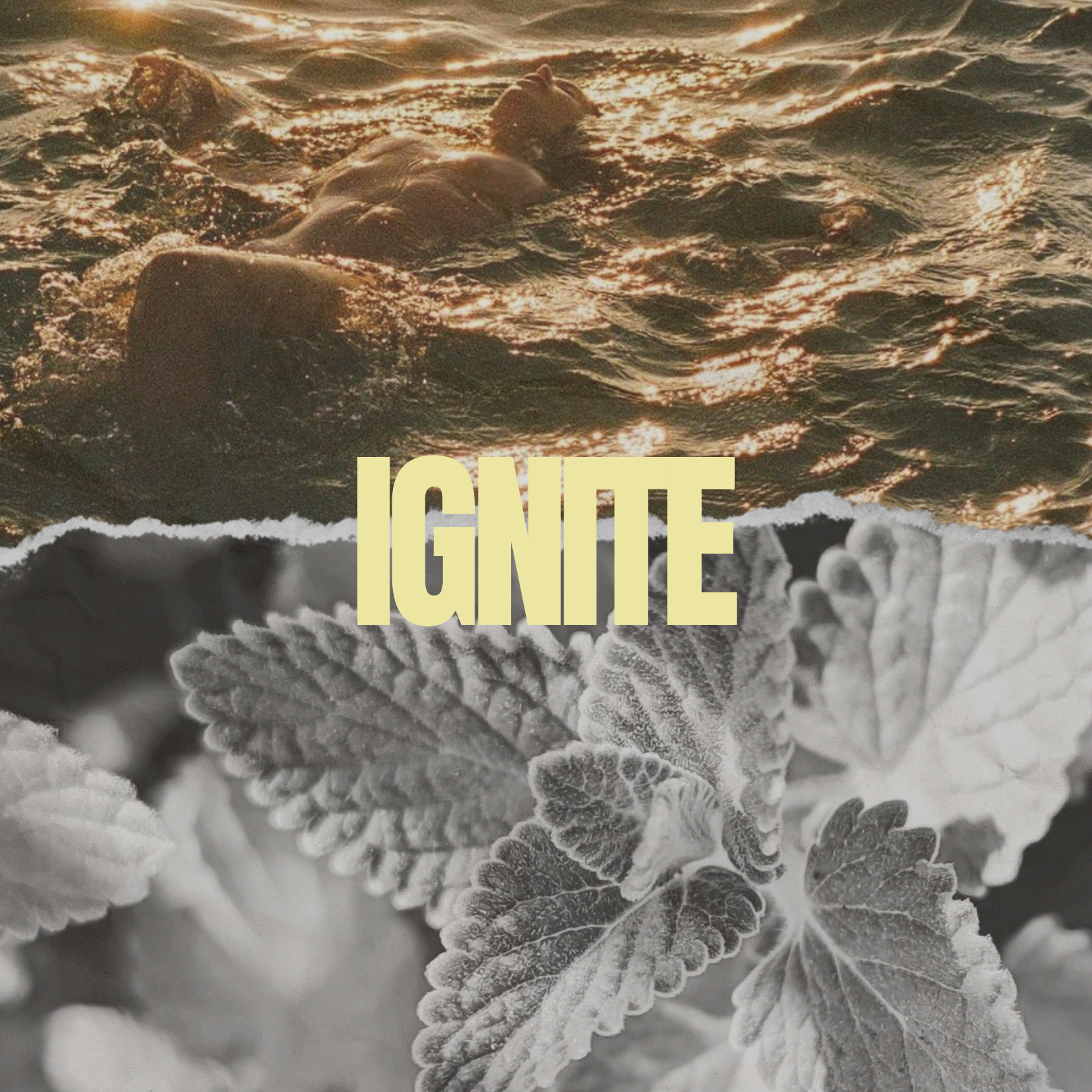 Ignite - Soul Elixir