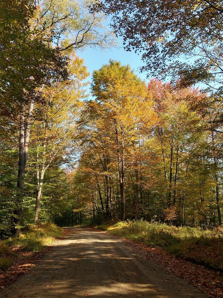 fall-colors-at-allegheny-national-forest-1032019-c1788e-1024.jpg