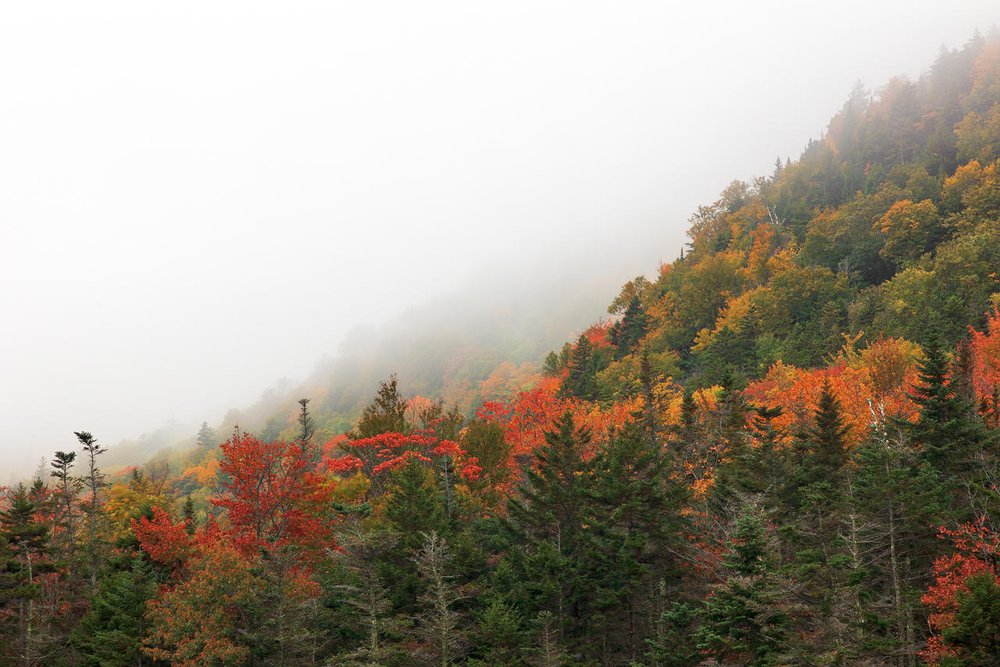 autumn_fog_of_white_mountain__freebie__by_boldfrontiers_dcqyc8h-fullview.jpg