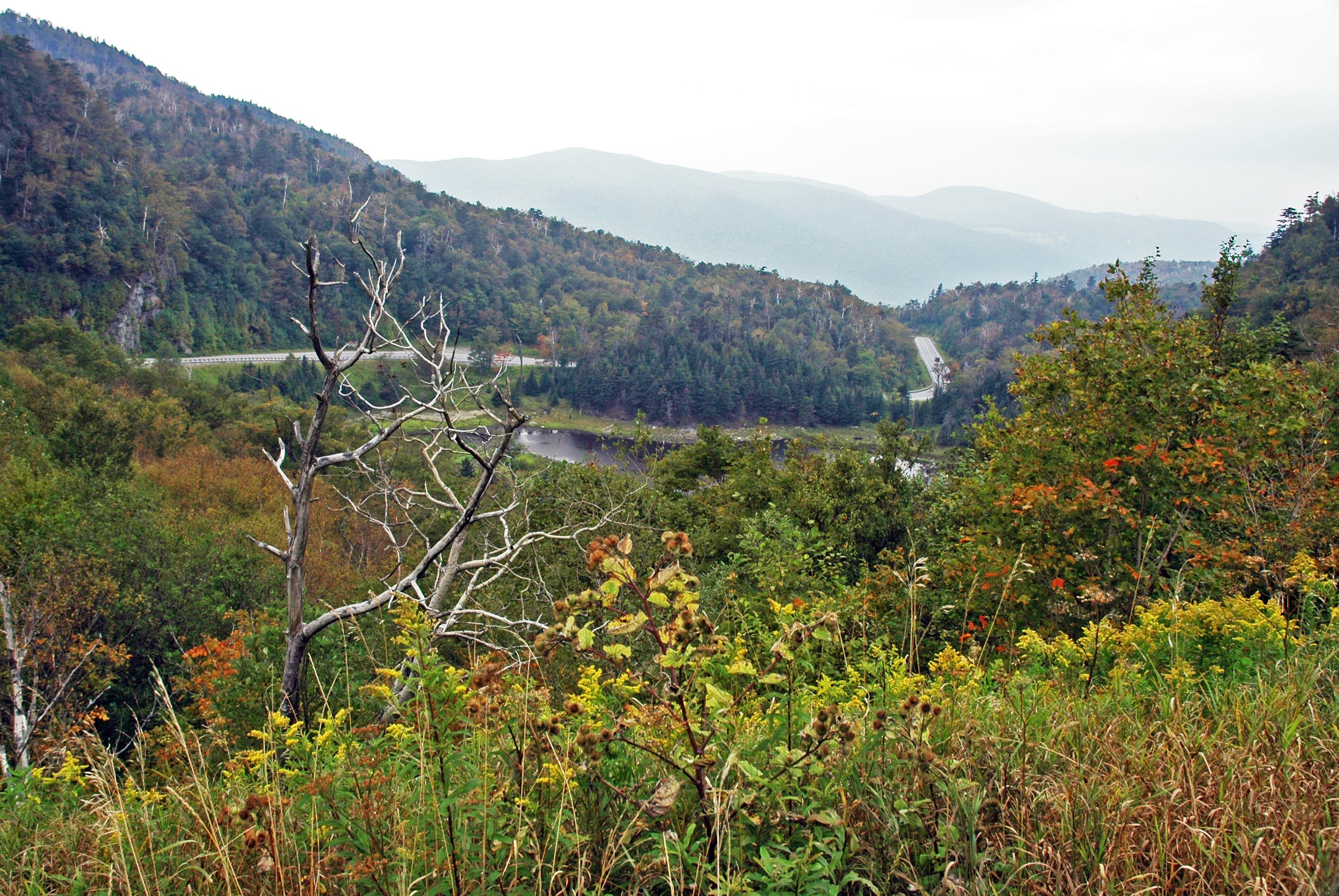 Appalachian_Gap_(Green_Mountains,_Vermont,_USA)_4.jpg