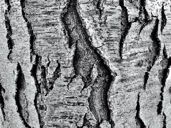 KYLE DARLYMPLE_PHOTOGRAPHY_Cracked.jpg