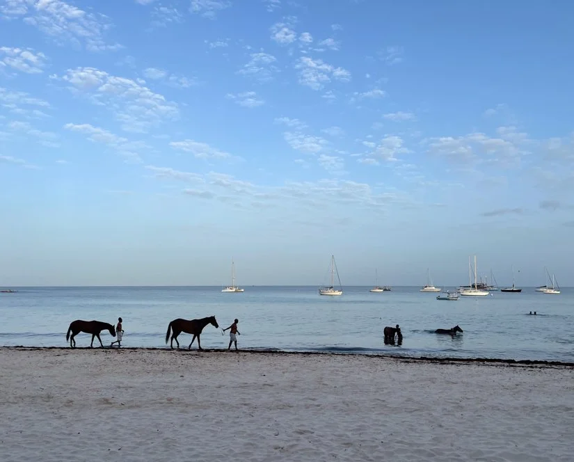 Beach Walk