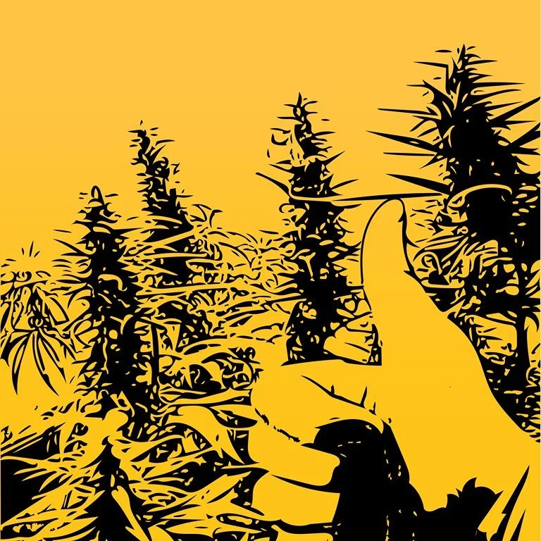 GROW COMMUNITY DISCORD CANNABISTIPPSUNDTRICKS .jpg