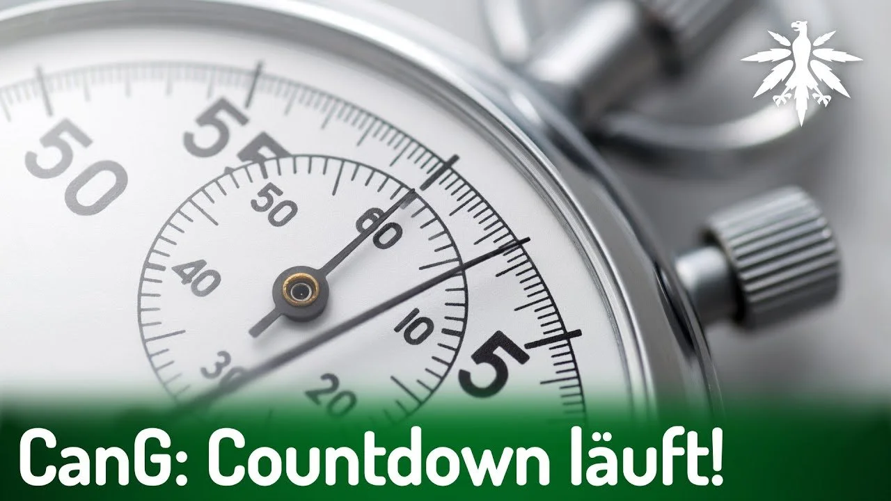 FMMcgfWmnuo-HD (1).jpg