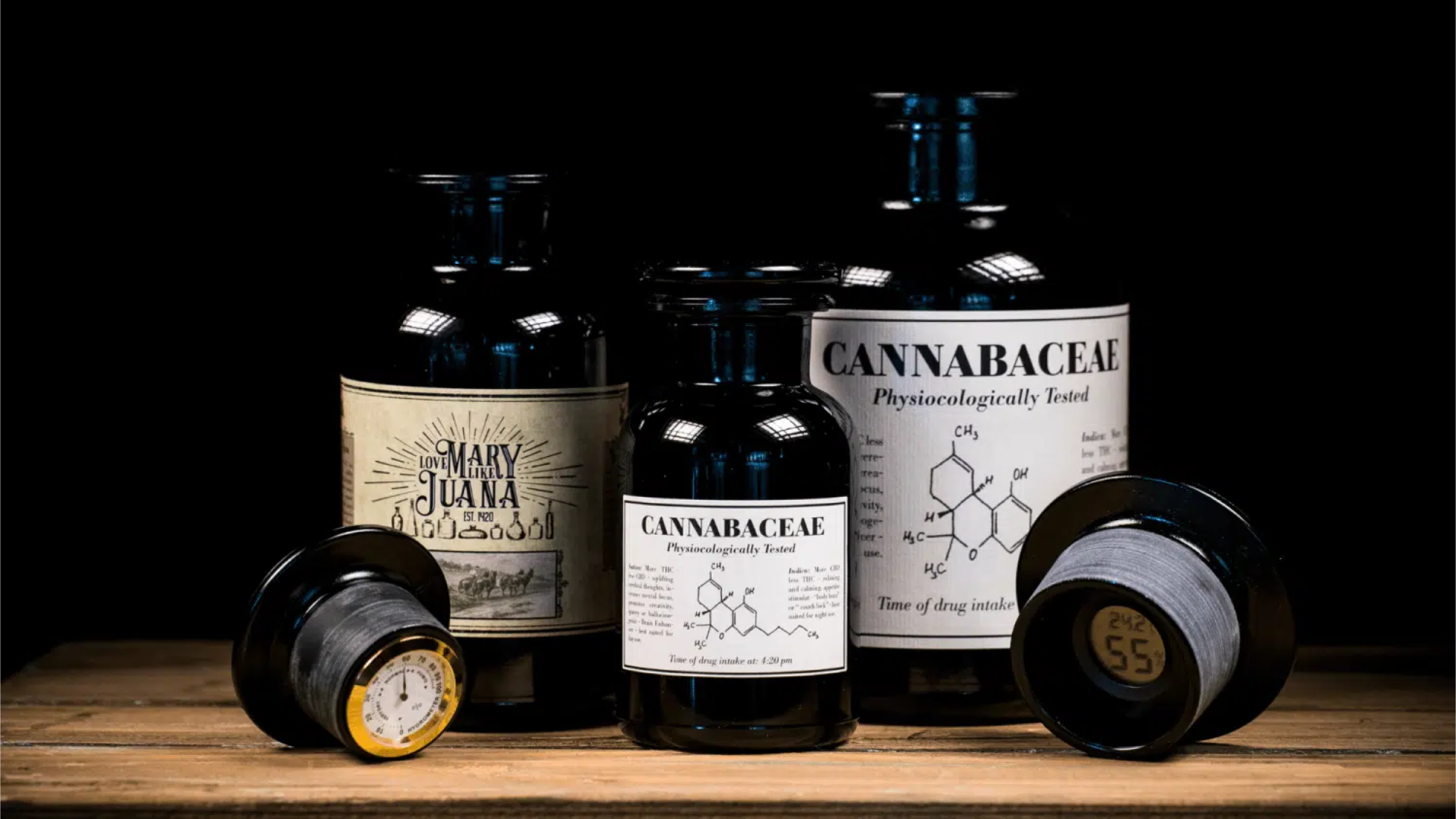 CANNABIS AUFBEWAHRUNG LOVEMARYLIKEJUANA.png