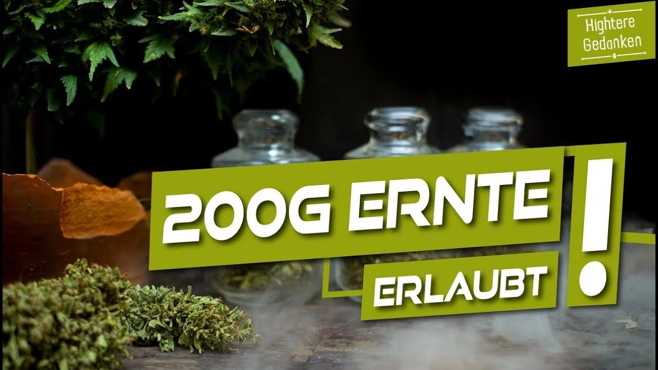 z5xzoVLLHOQ-HD.jpg