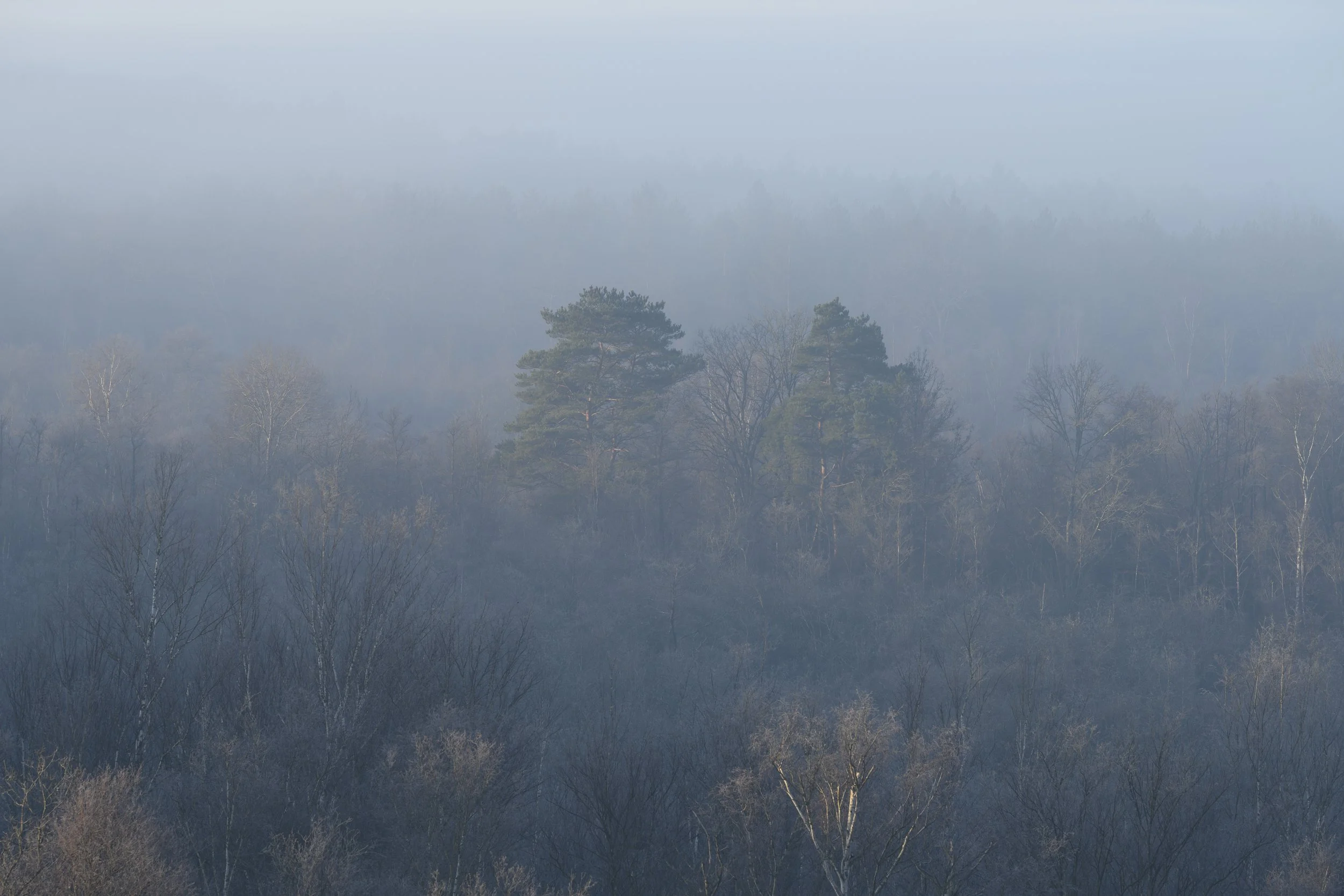 NaturalLandscape 1.jpg