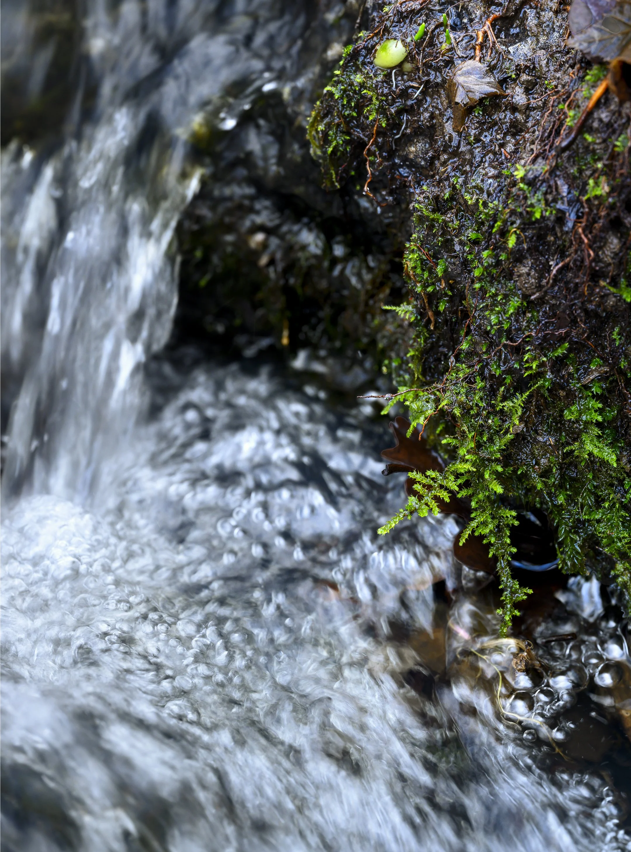 _AP74115-Modifier Edited 1.jpg