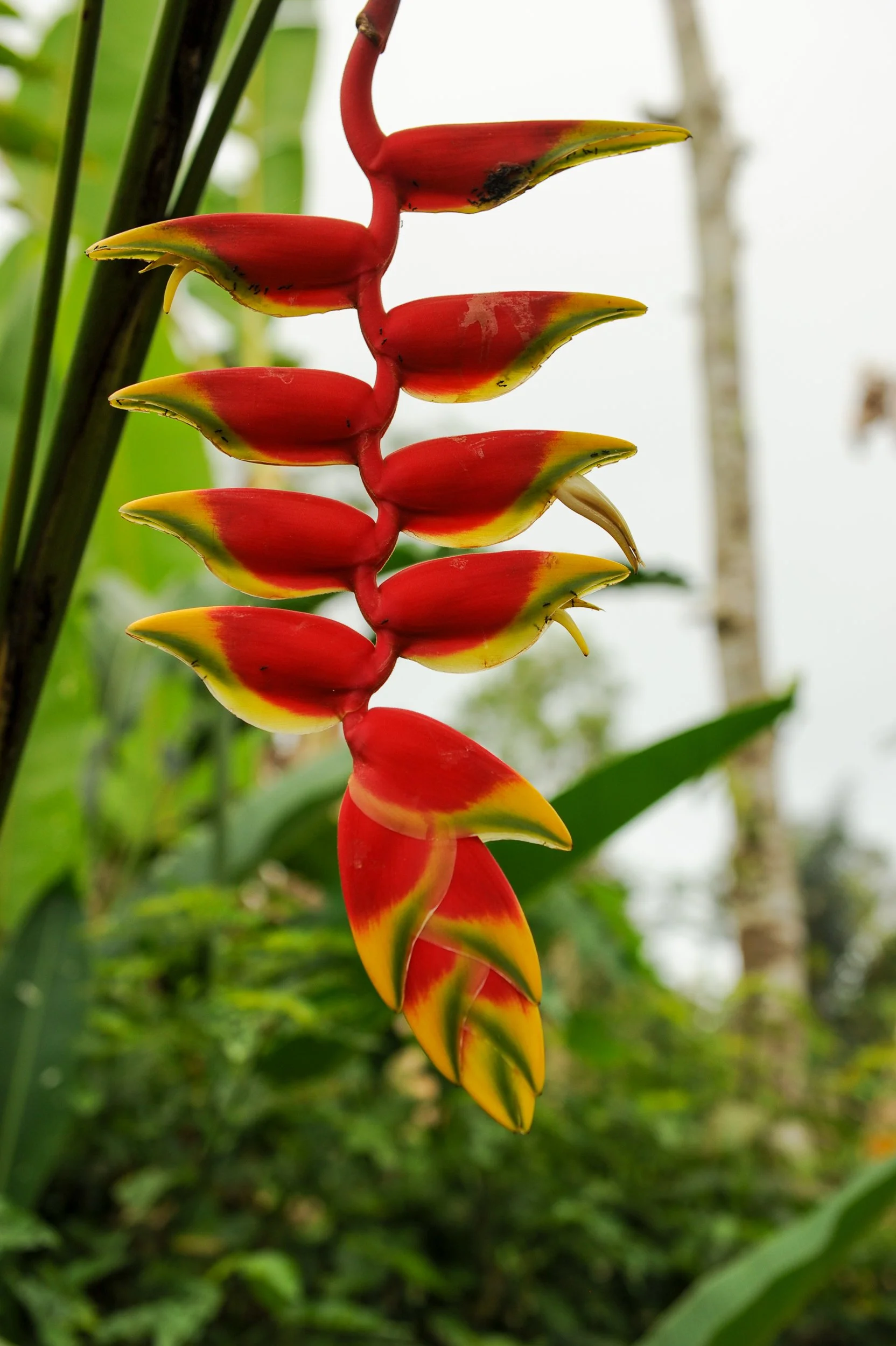 DSC_7949_92826 Squarespace 1.jpg