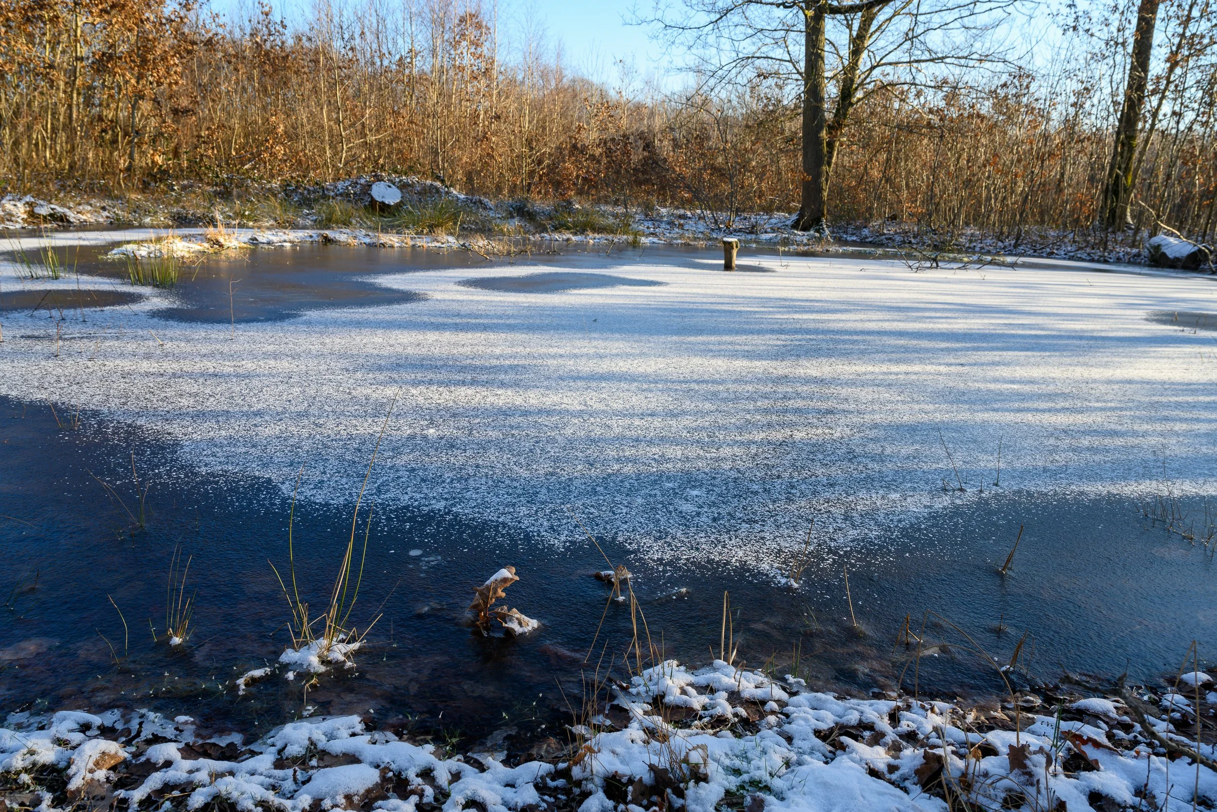 Photographier en hiver