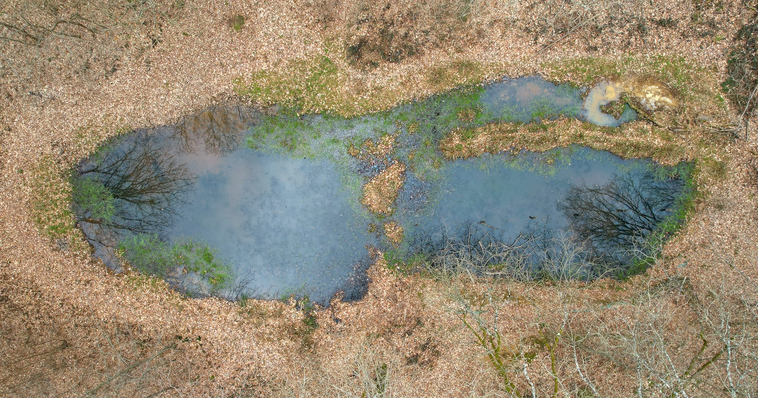 Comment lancer un projet photo près de chez soi ?