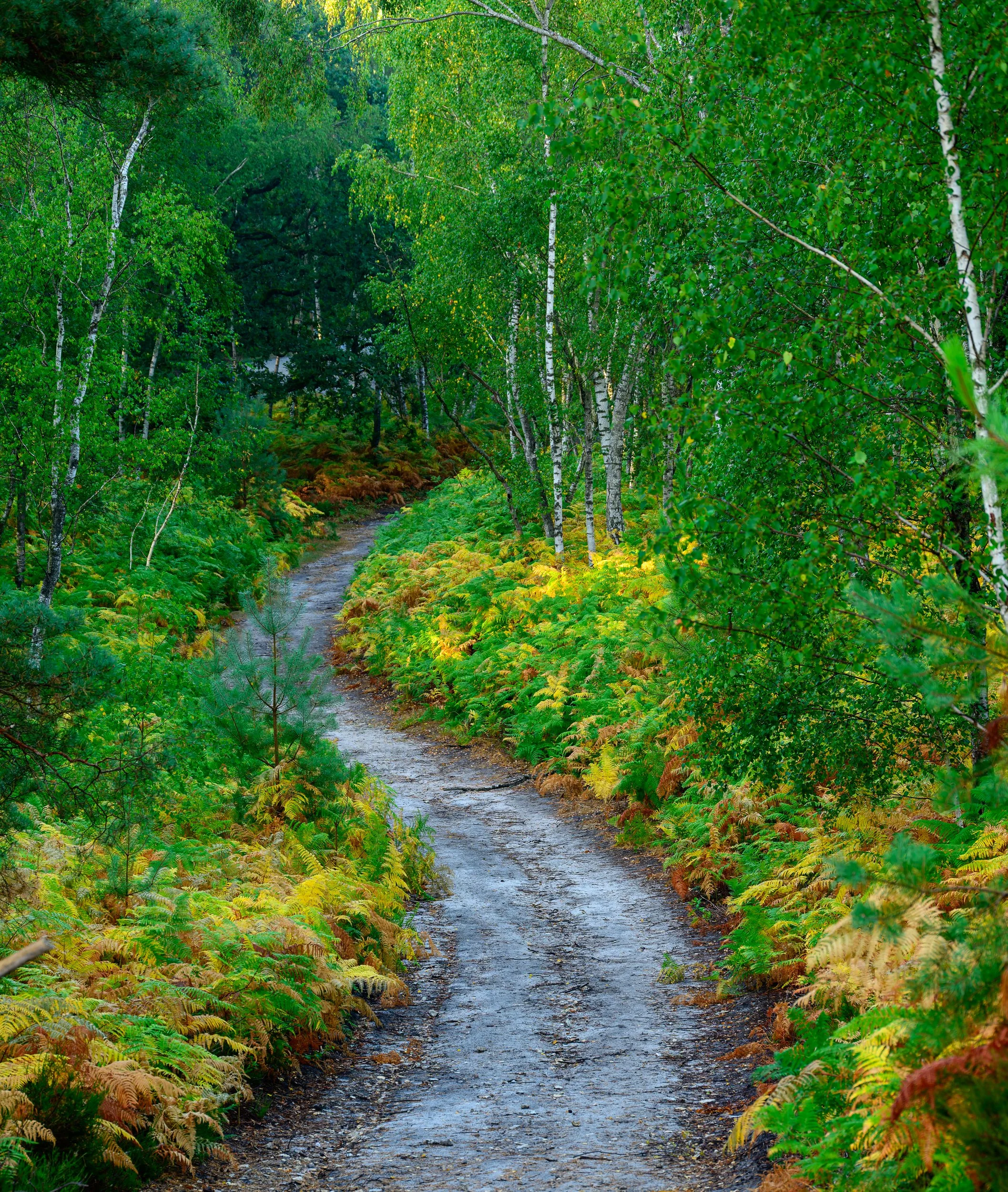 Et si cet automne, vous changiez tout sauf le lieu ?